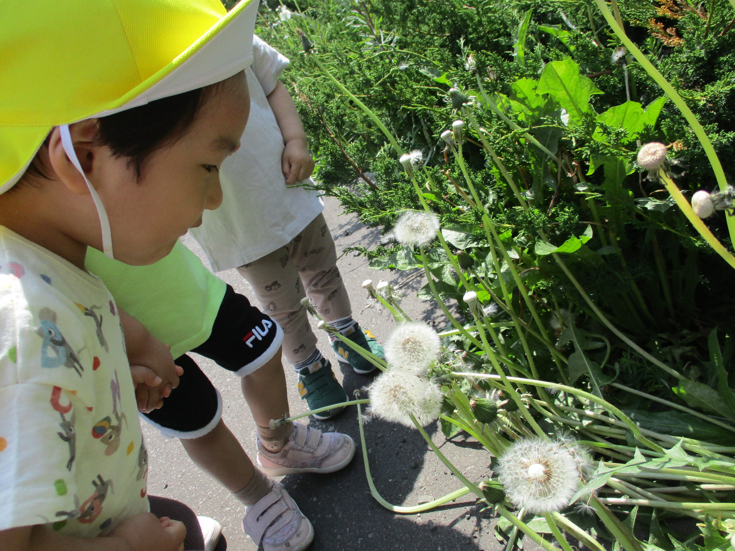 新川園　土曜日保育🌿