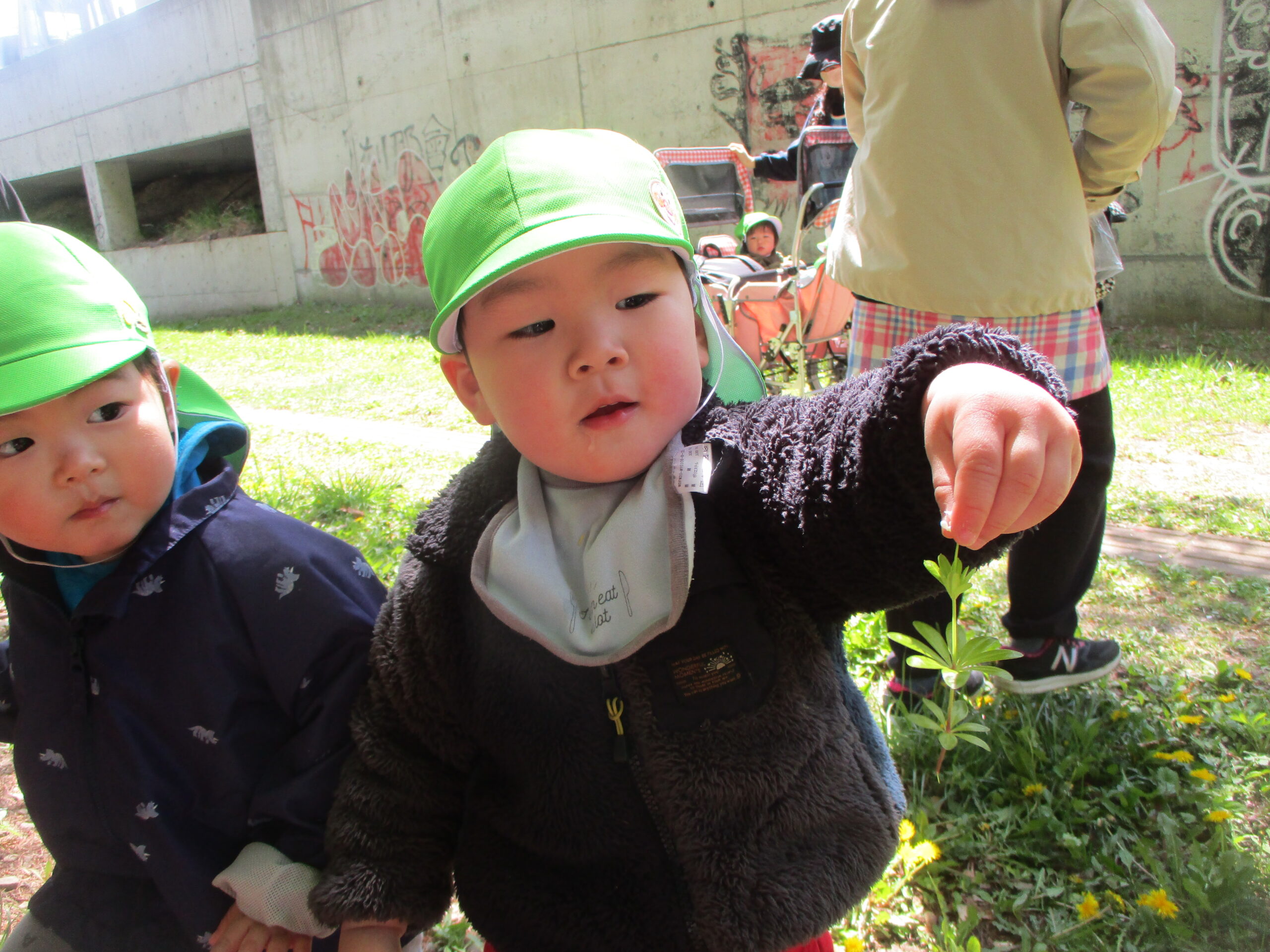 藤野園　どんぐり組　くるみ組　東公園近くの遊歩道を散策しました♪