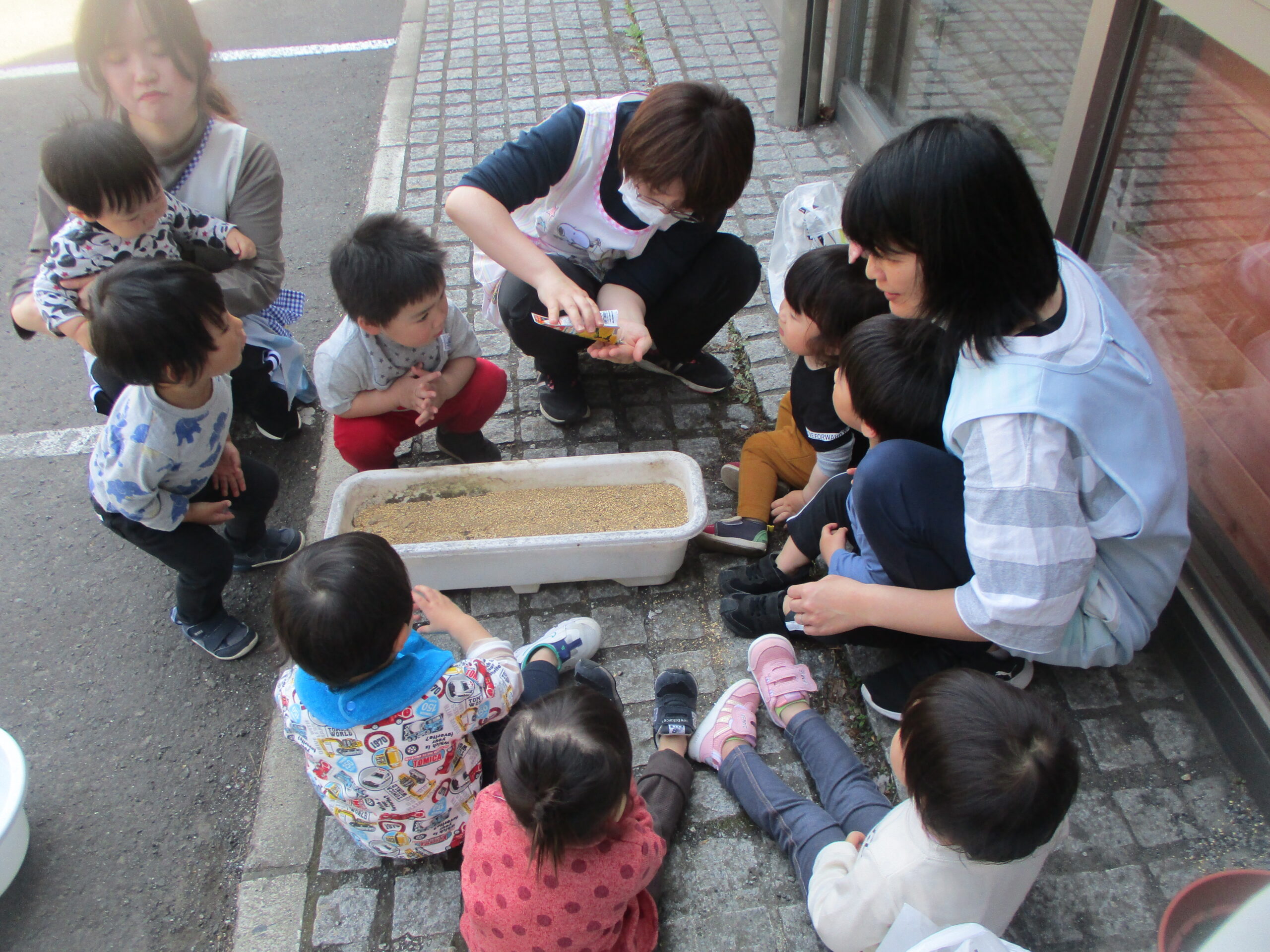 藤野園　初めての種植え