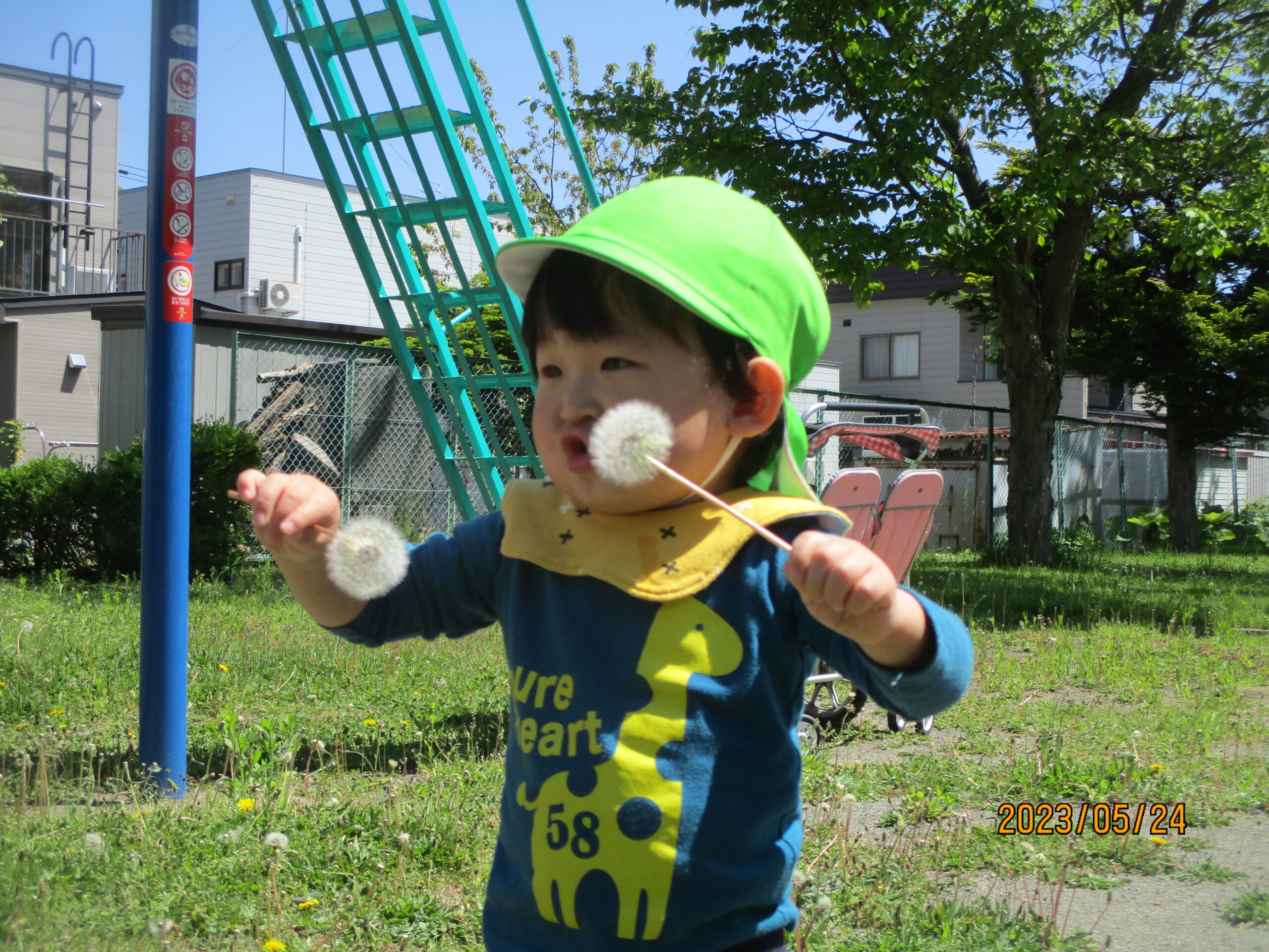 藤野園　久しぶりのはなぞの公園です♪