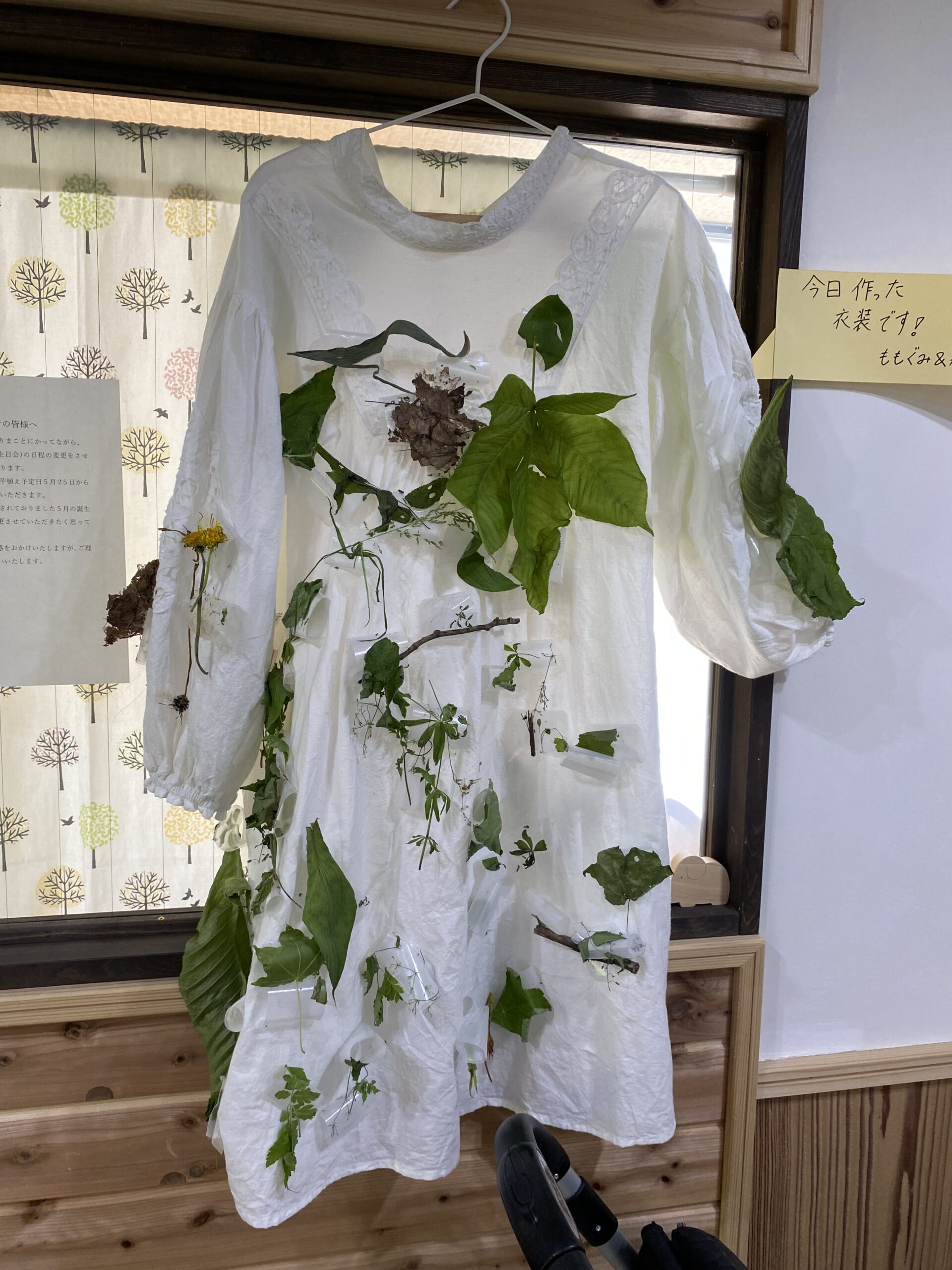 宮の森　お花見遠足🌸💦