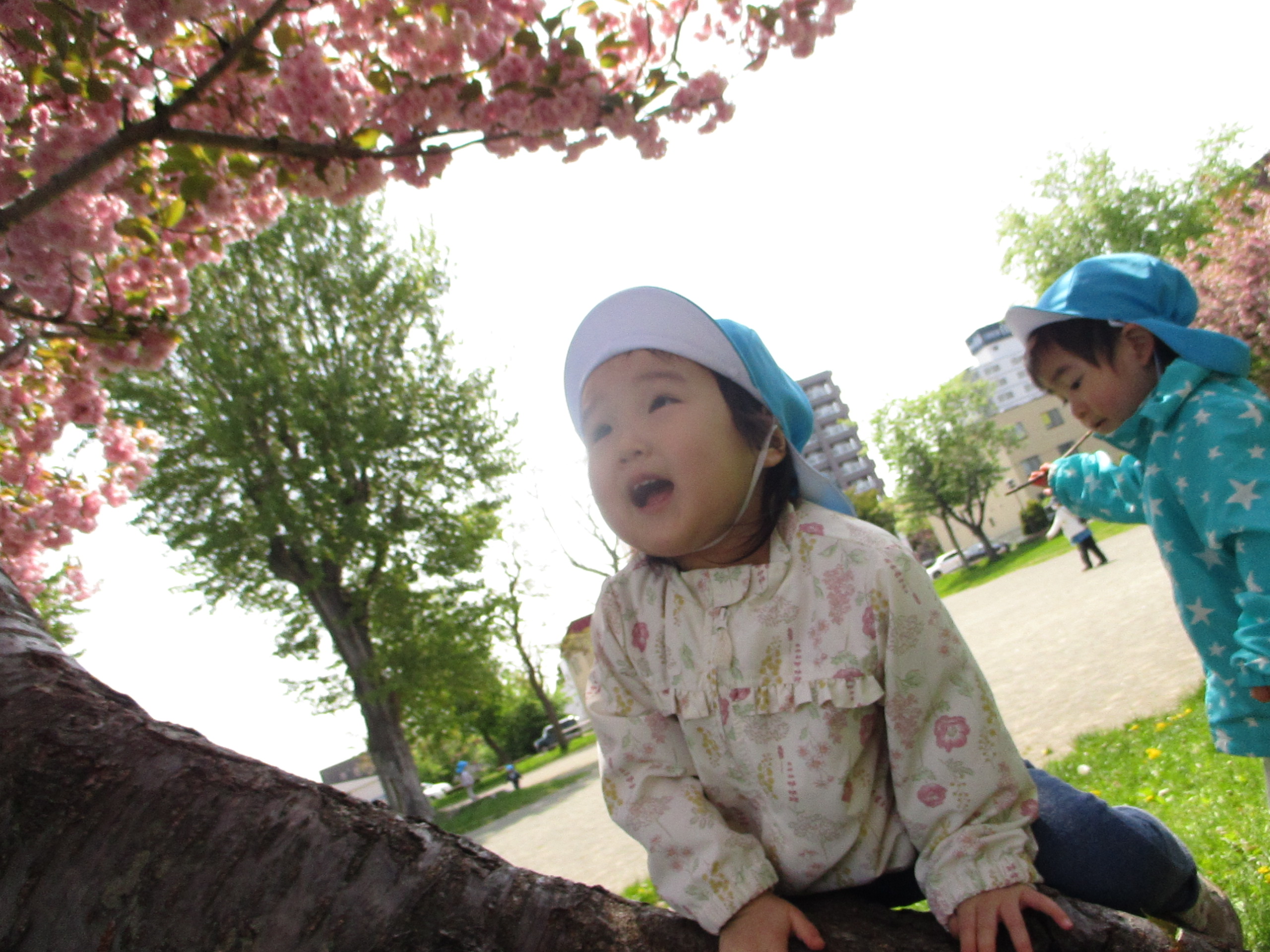 白石園　🌷春を楽しんで🌷