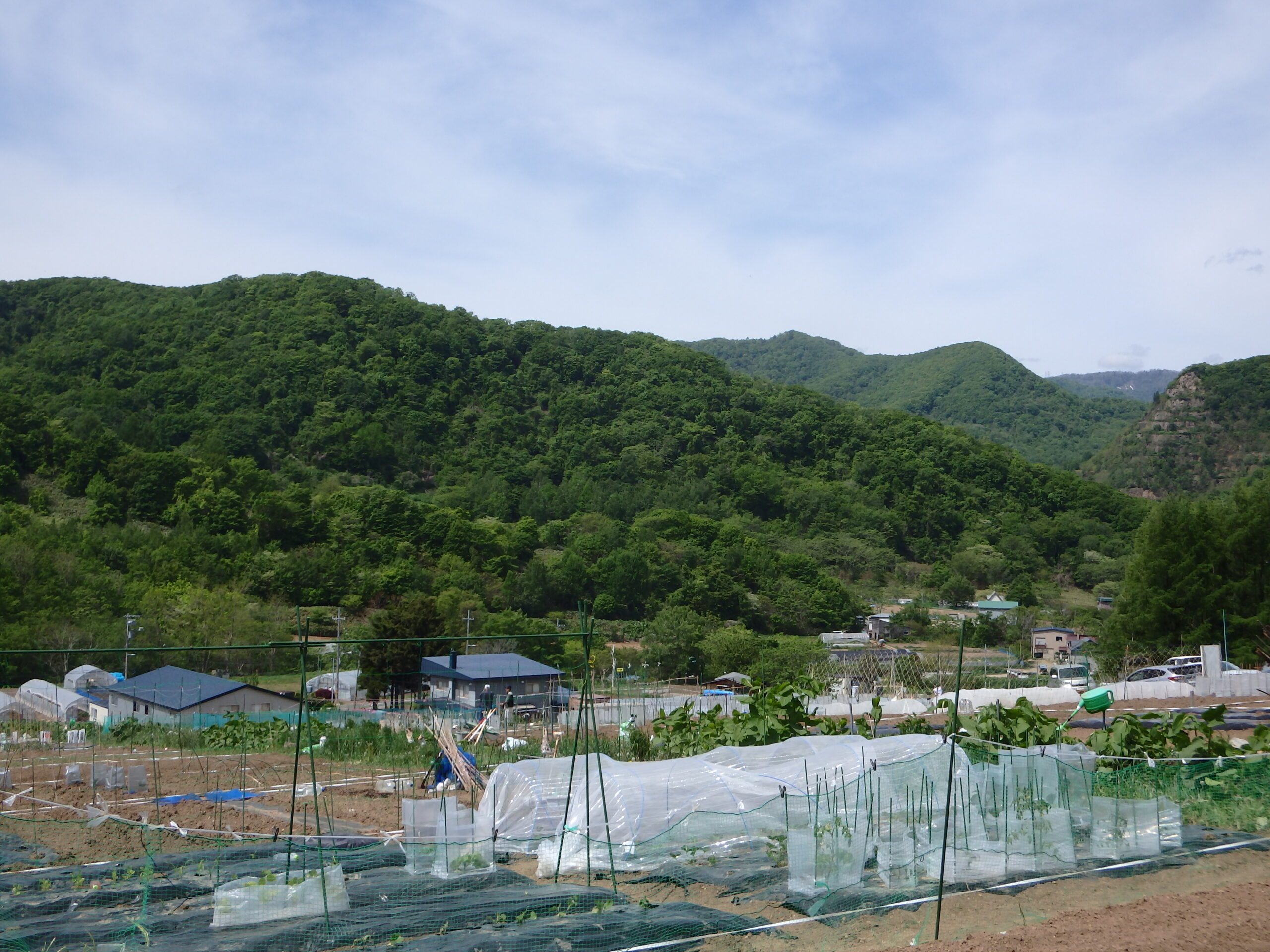 宮の森　芋植え🥔