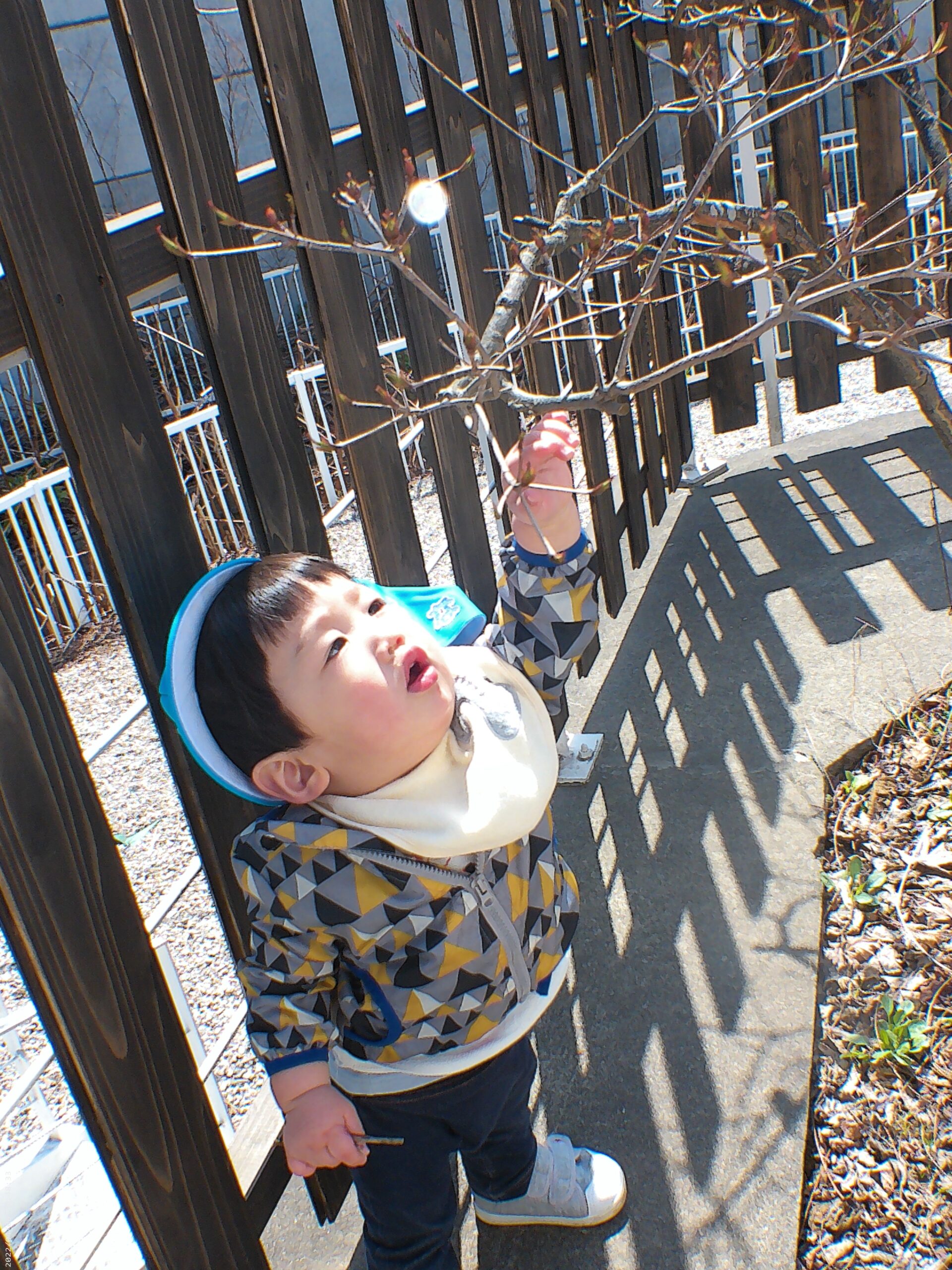 宮の森　自然っていいね😊