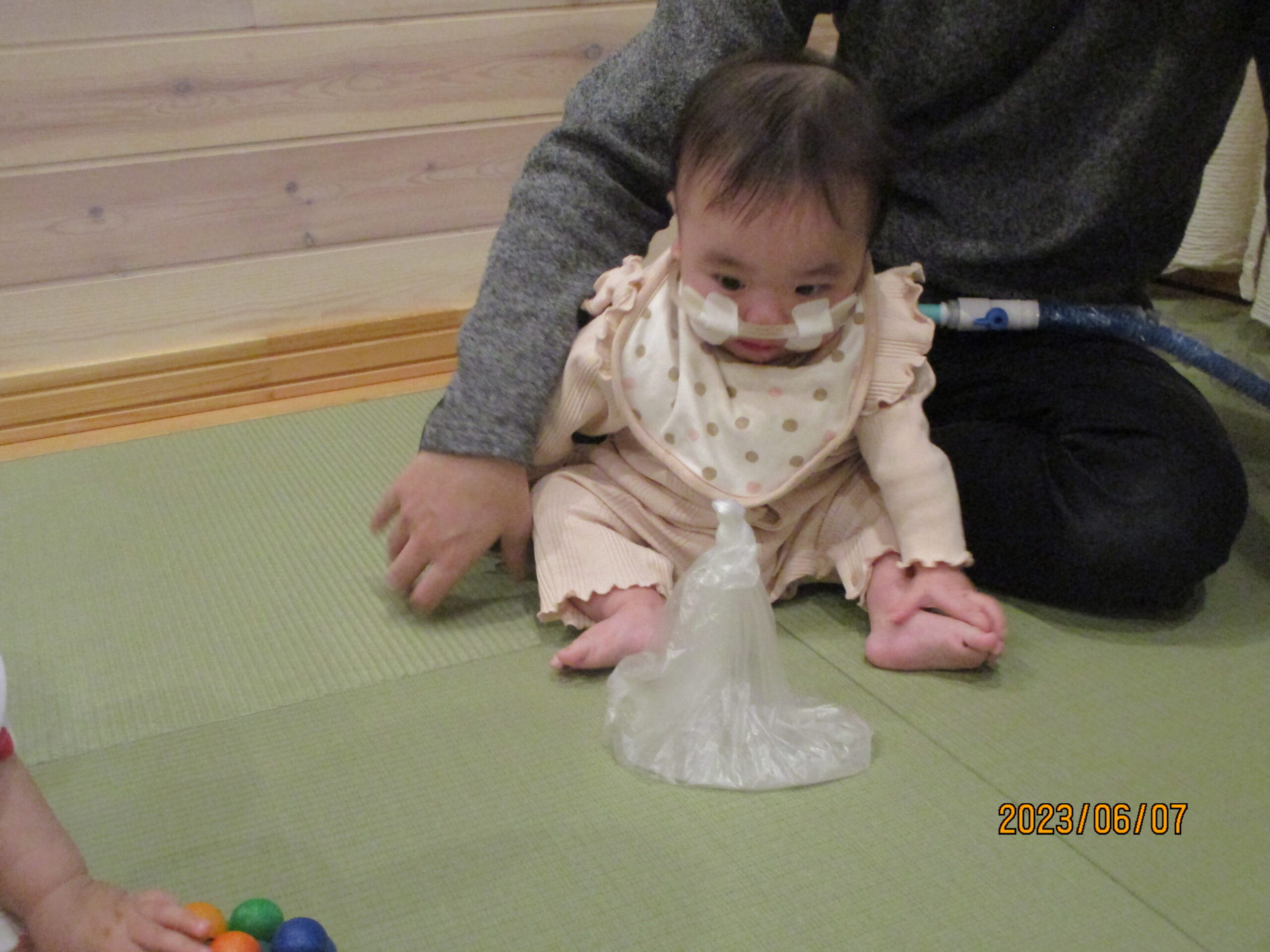 藤野園　どんぐり組　これは、何だろう！