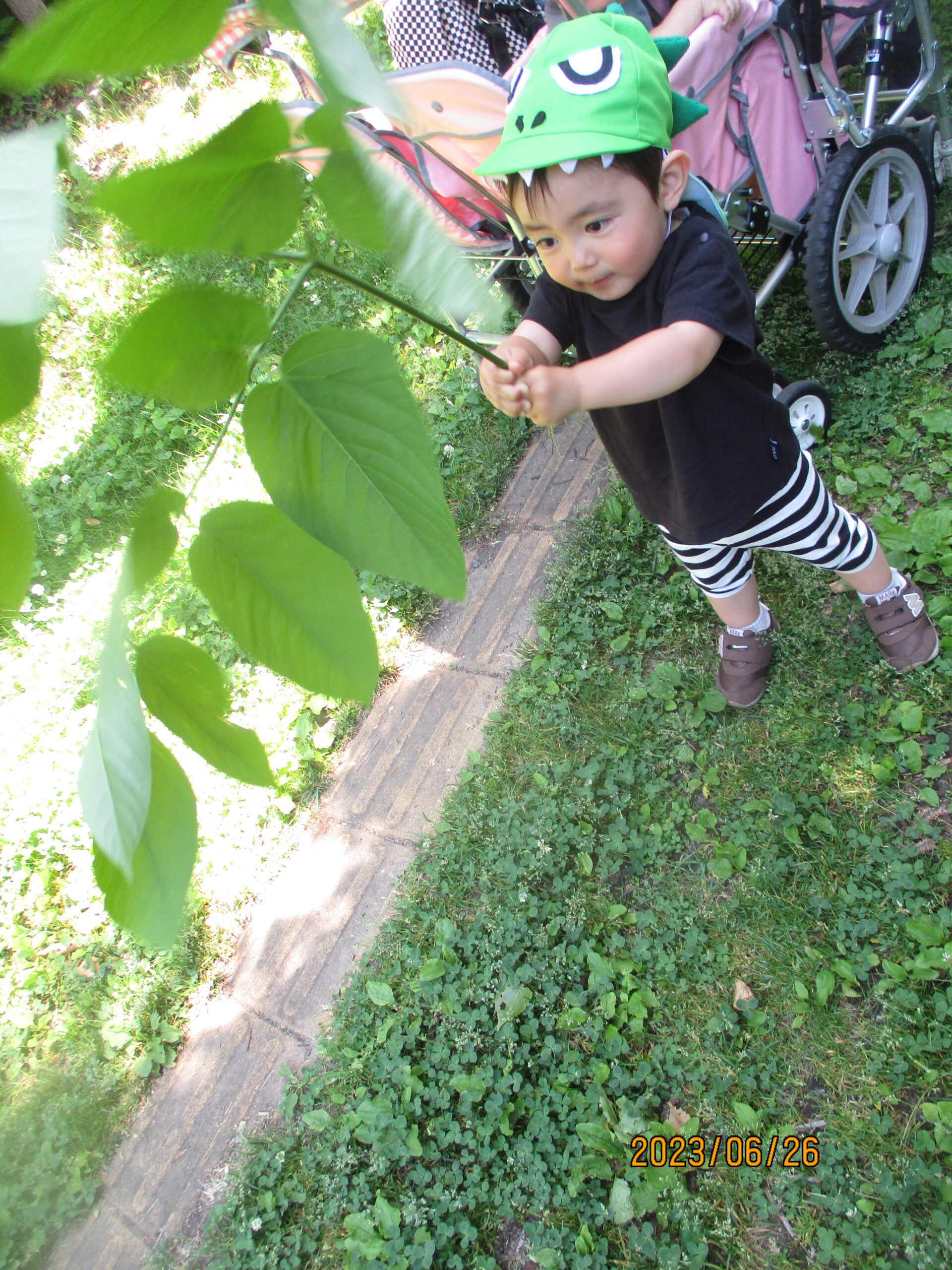 藤野園　大きい葉っぱ見つけたよ♪
