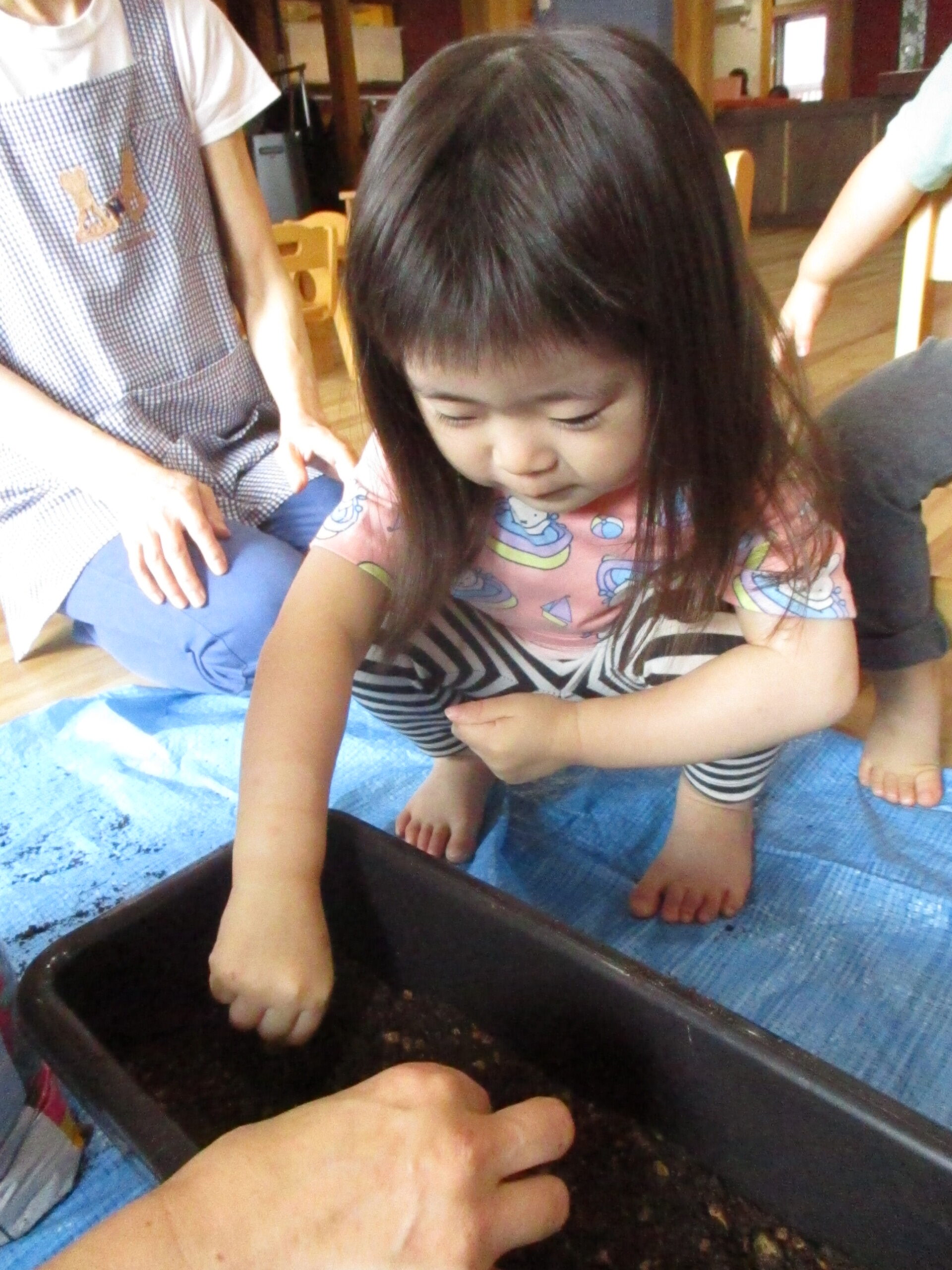 白石園　🌻くるみ組　お花を植えたよ　Part１🌻