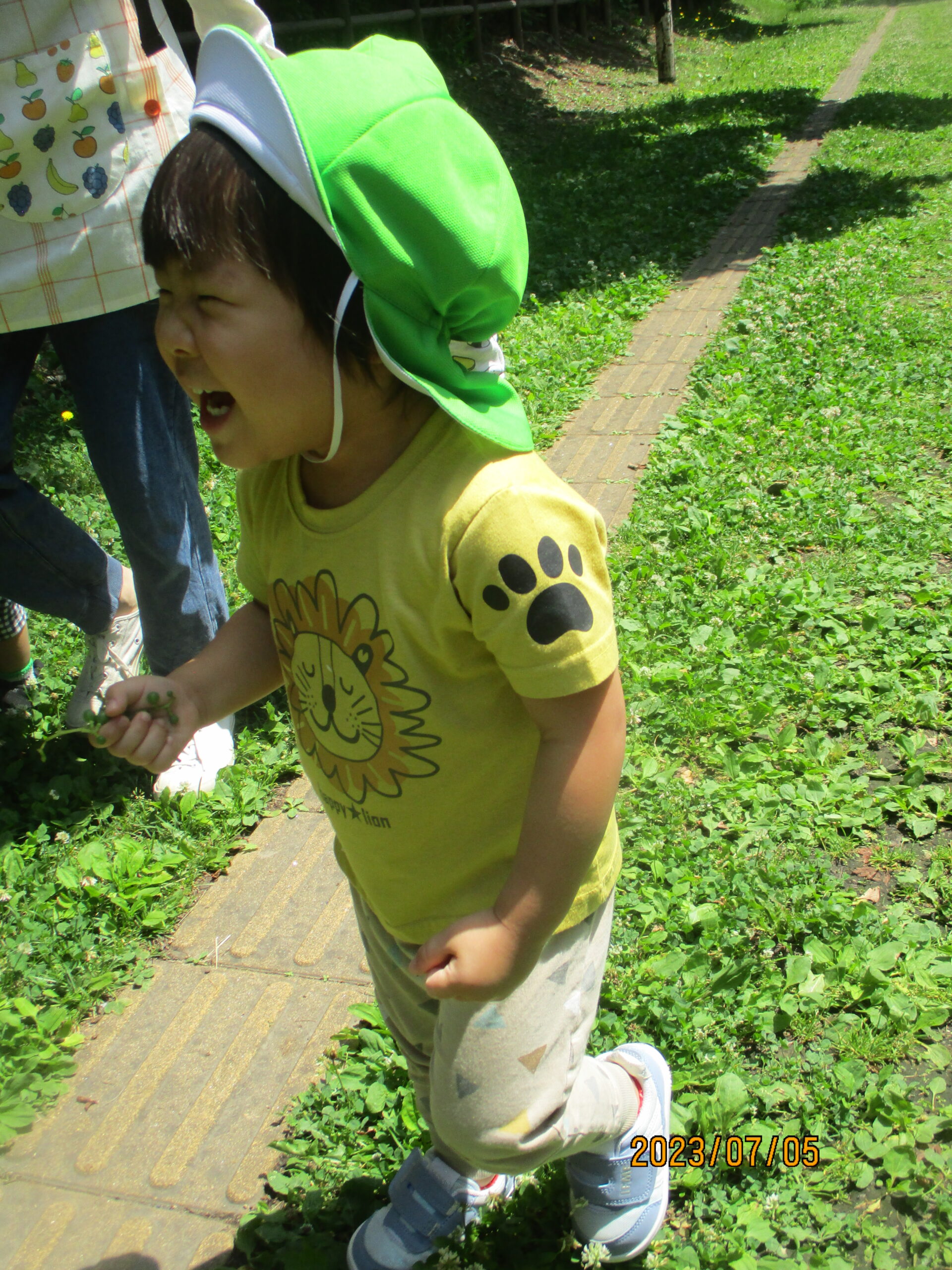藤野園　木陰は涼しくて気持ちいい♪