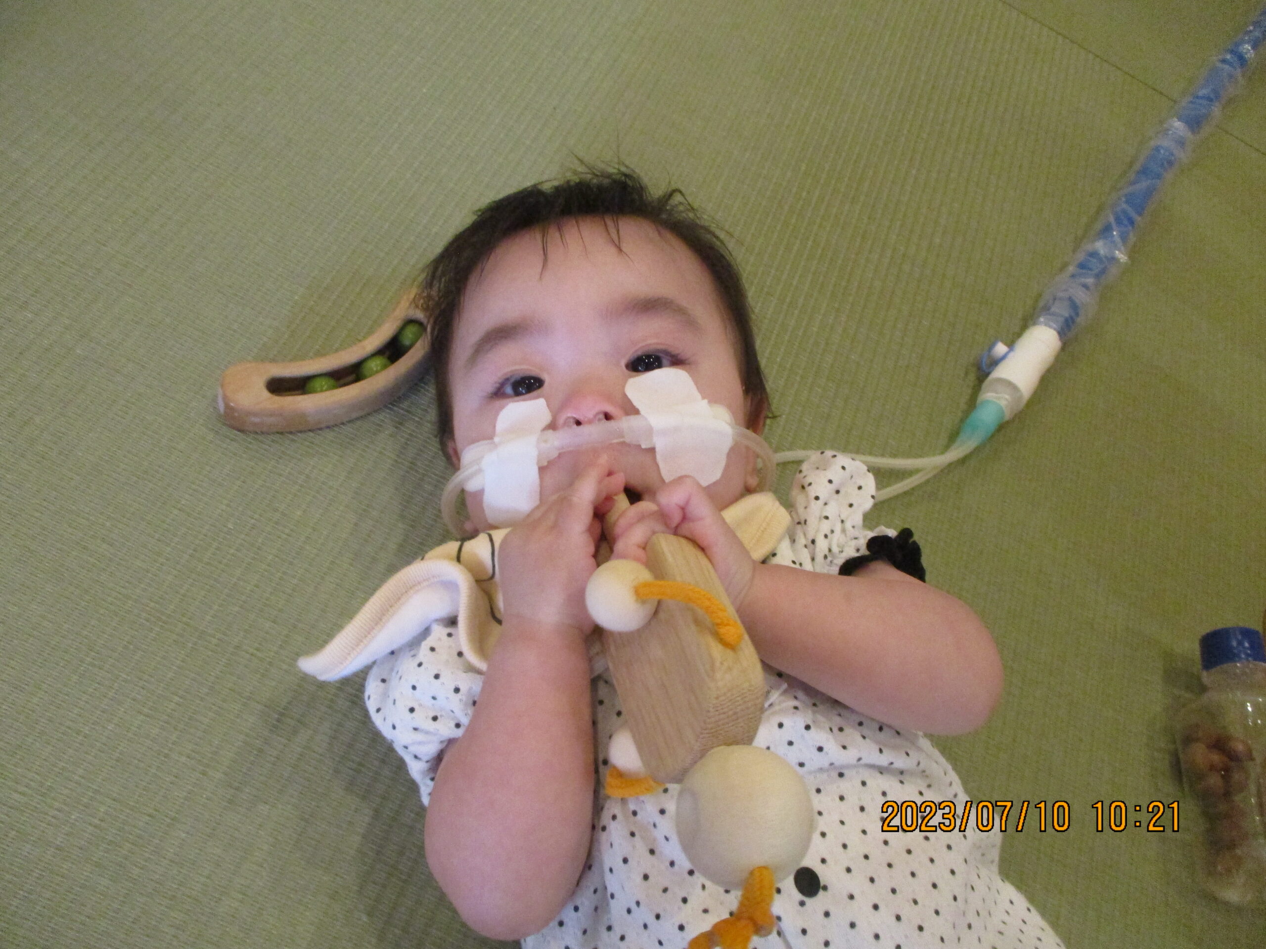 藤野園　どんぐり組　トンネルをのぞいたよ♪