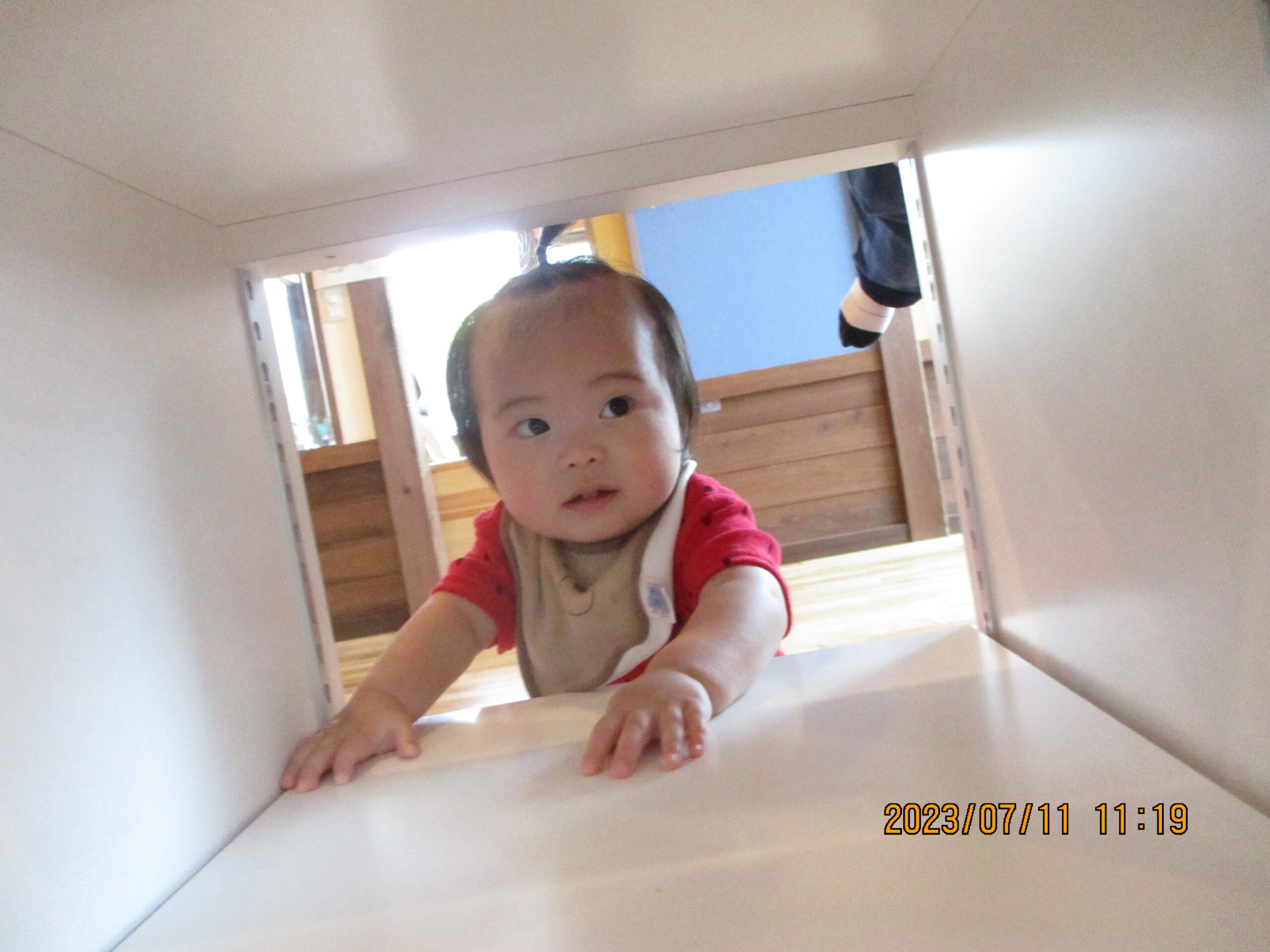 藤野園　どんぐり組　棚からこっそり…。