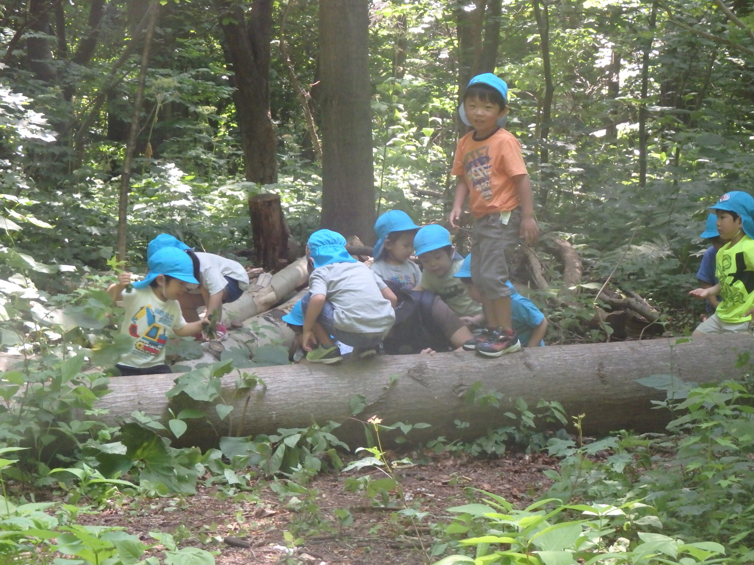 宮の森　木とお友だち🥰🌳