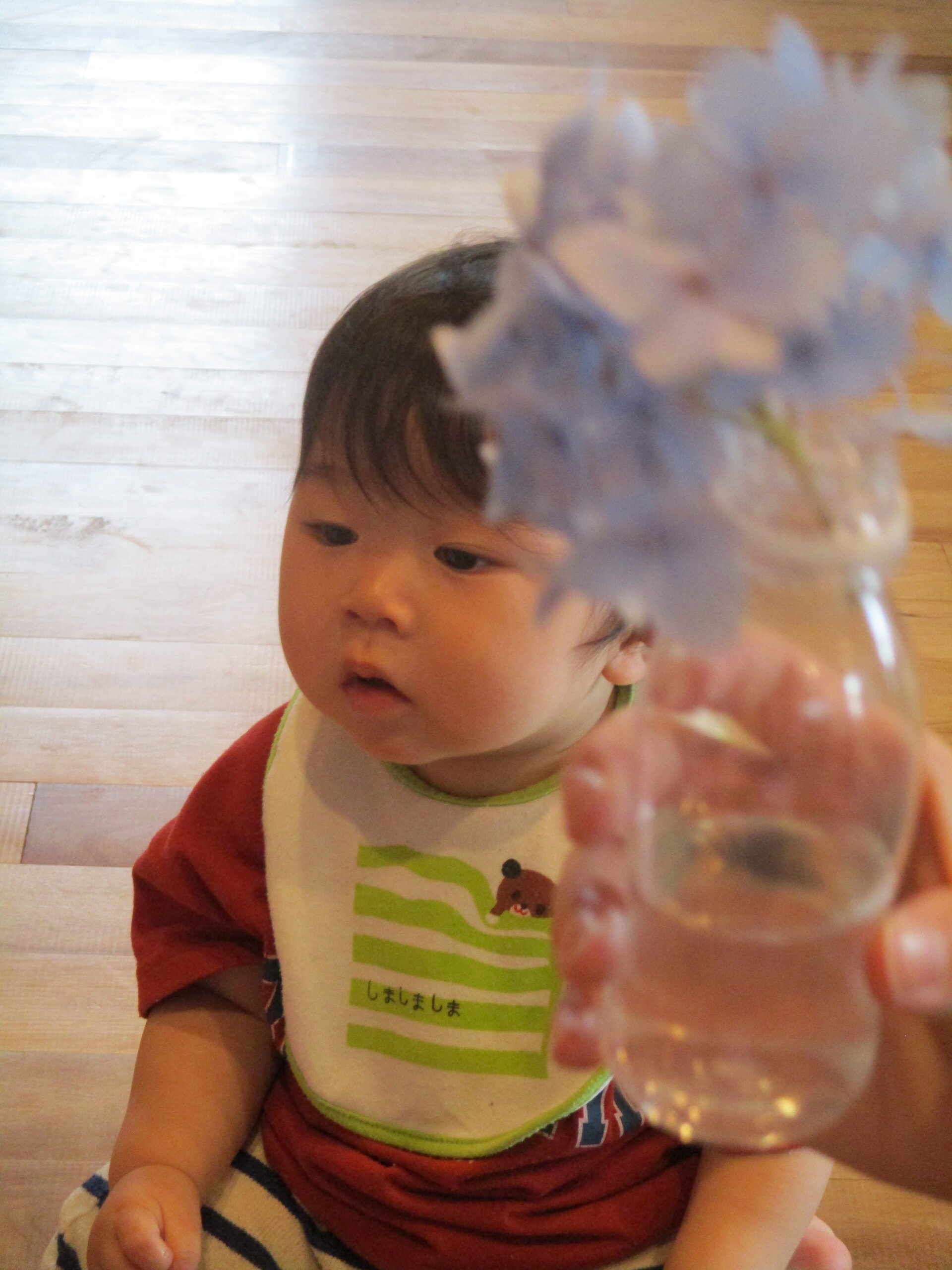 藤野園　どんぐり組　お花の観察をしました♪