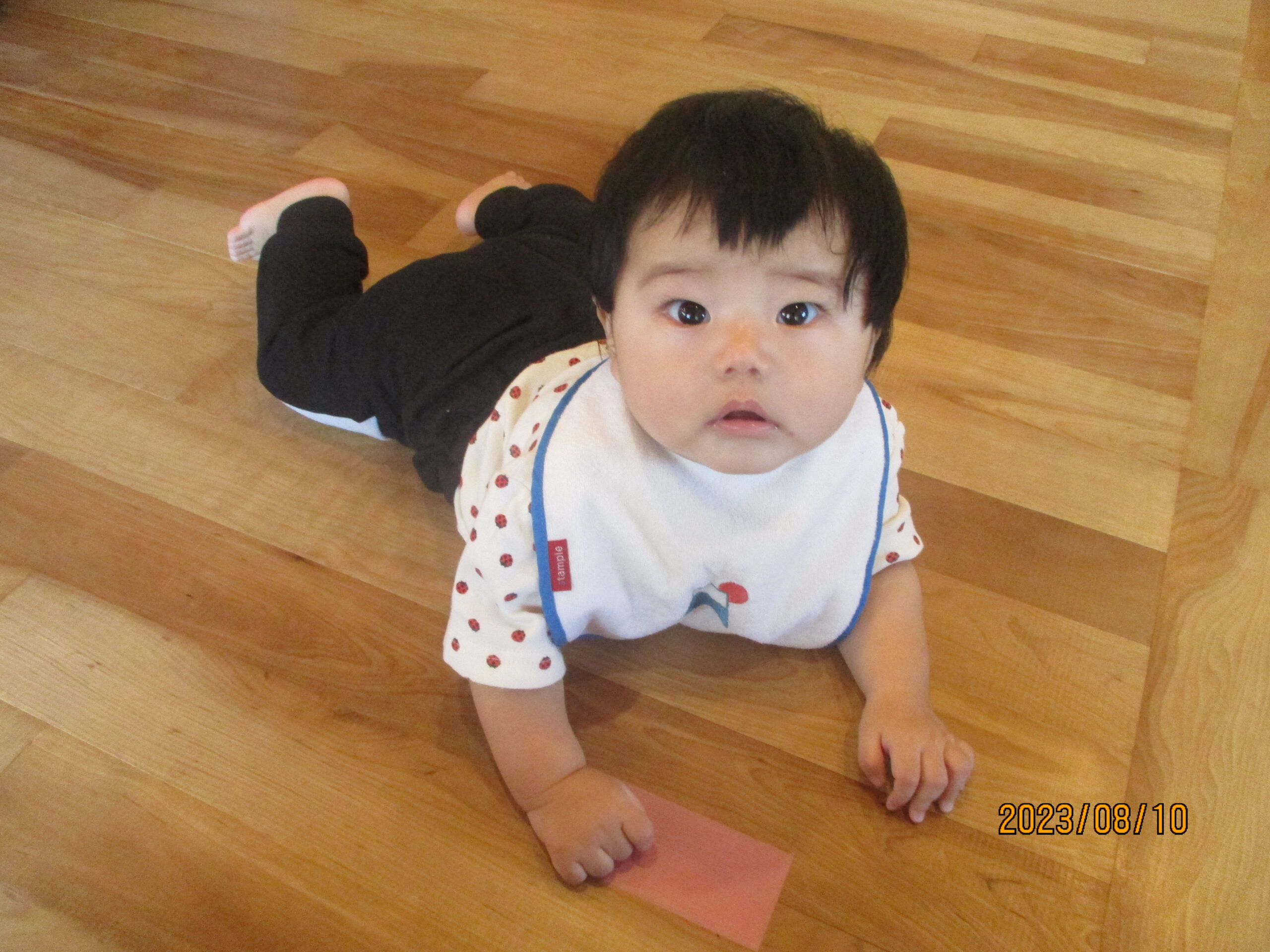 藤野園　どんぐり組　今日も、もりもりご飯を食べているよ♪