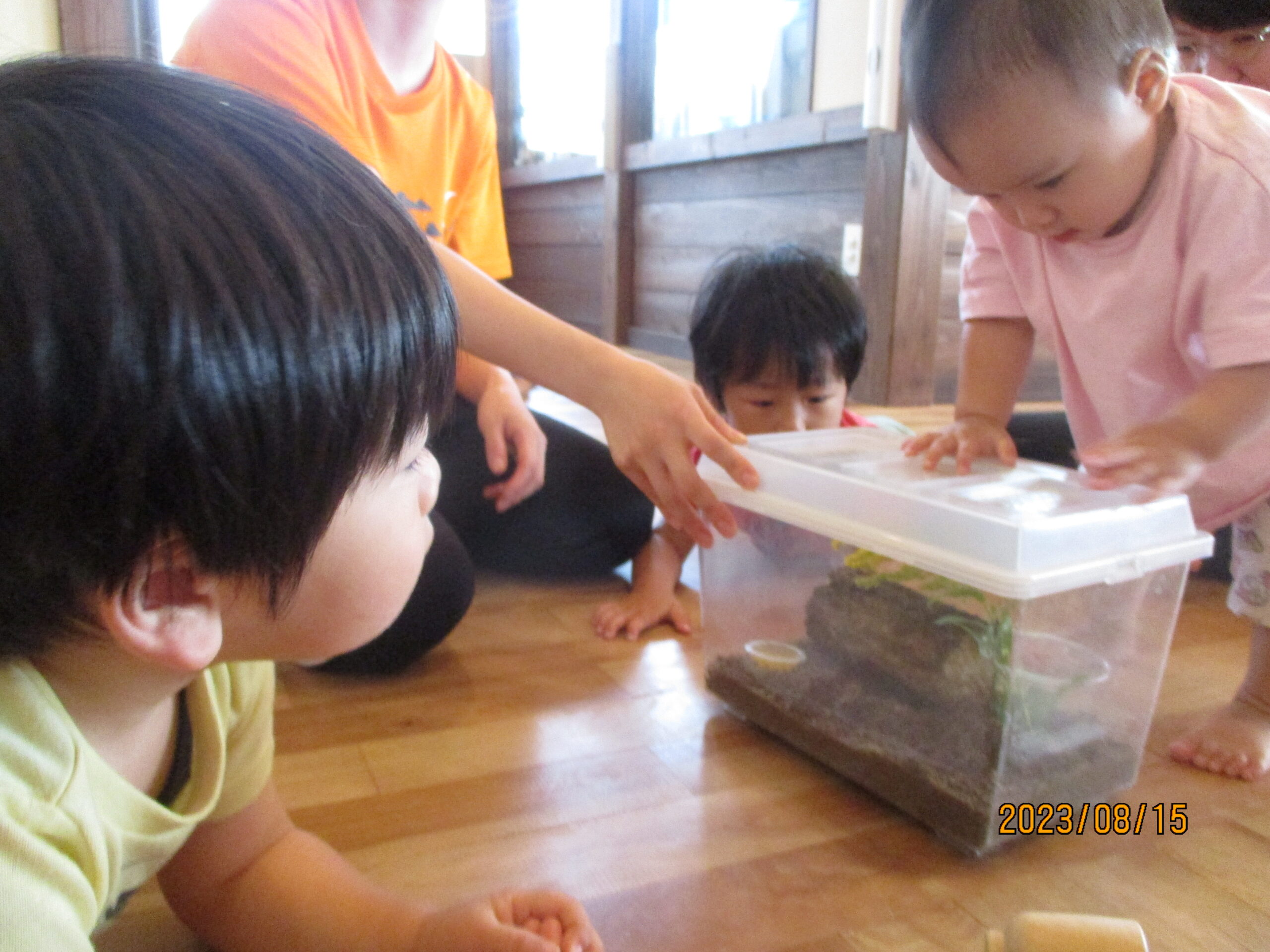 藤野園　虫さんのお家が華やかになりました♪