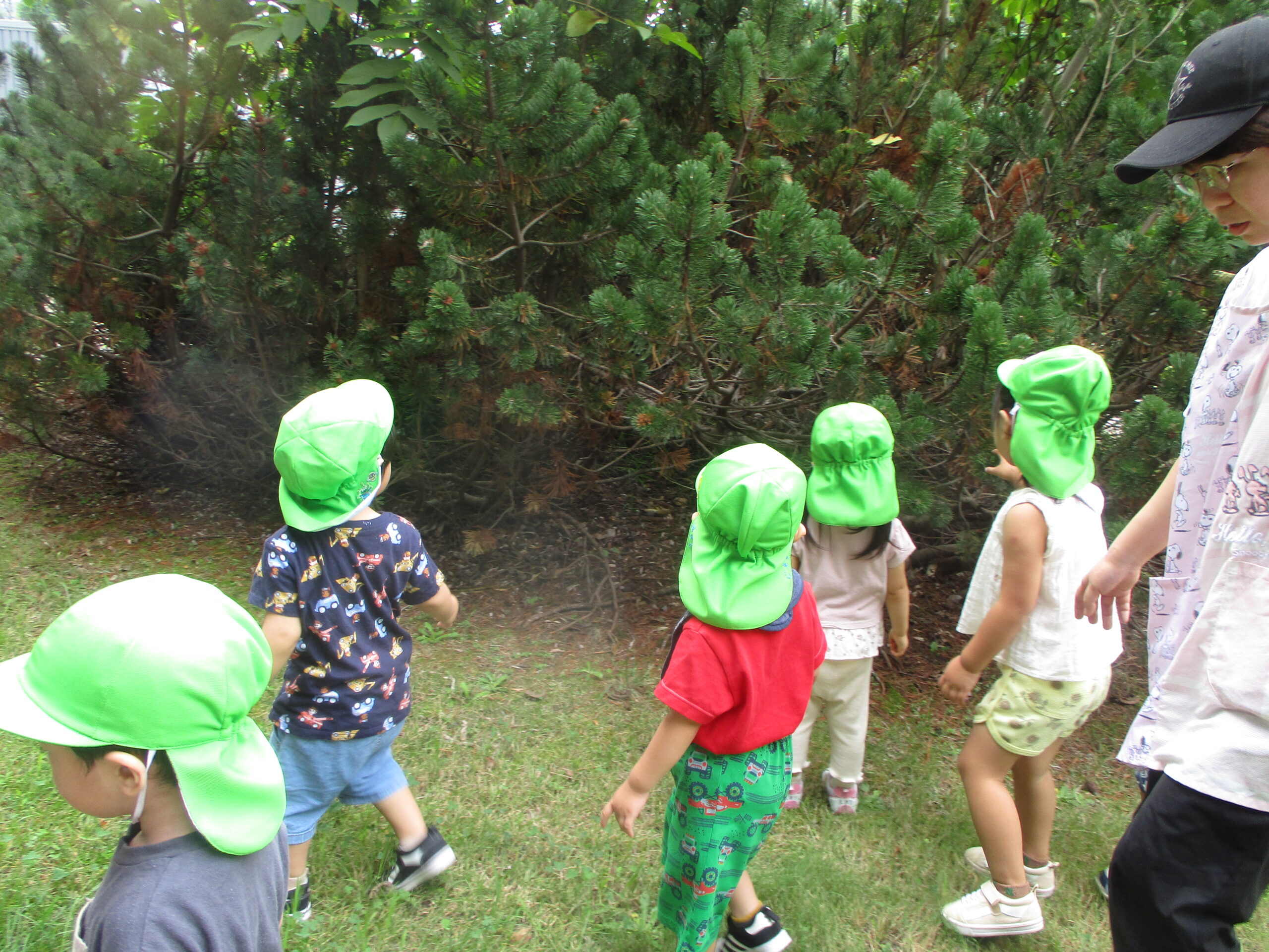 藤野園　色々見つけたよ。