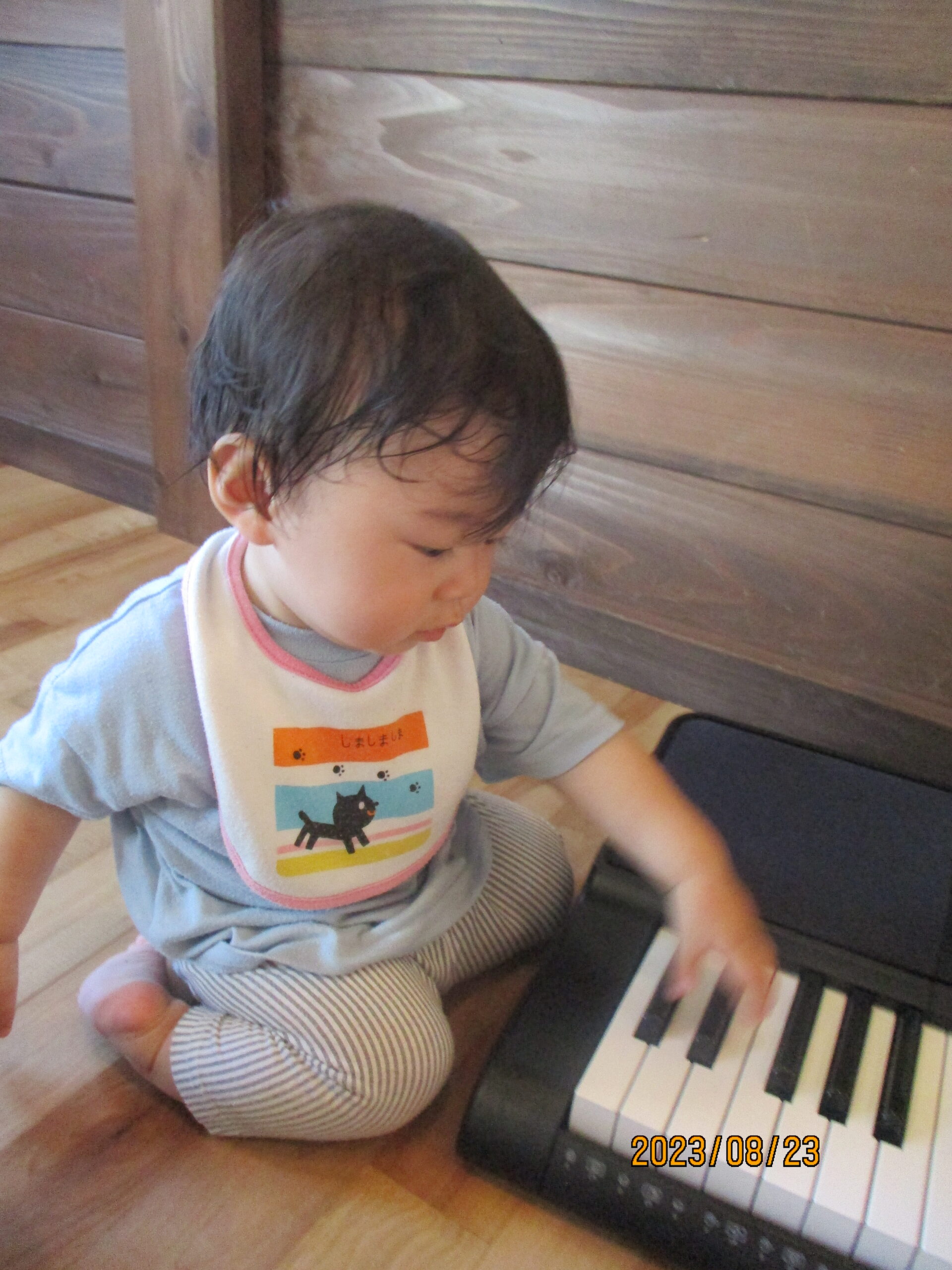 藤野園　ポロンポロンと音が鳴ります♪