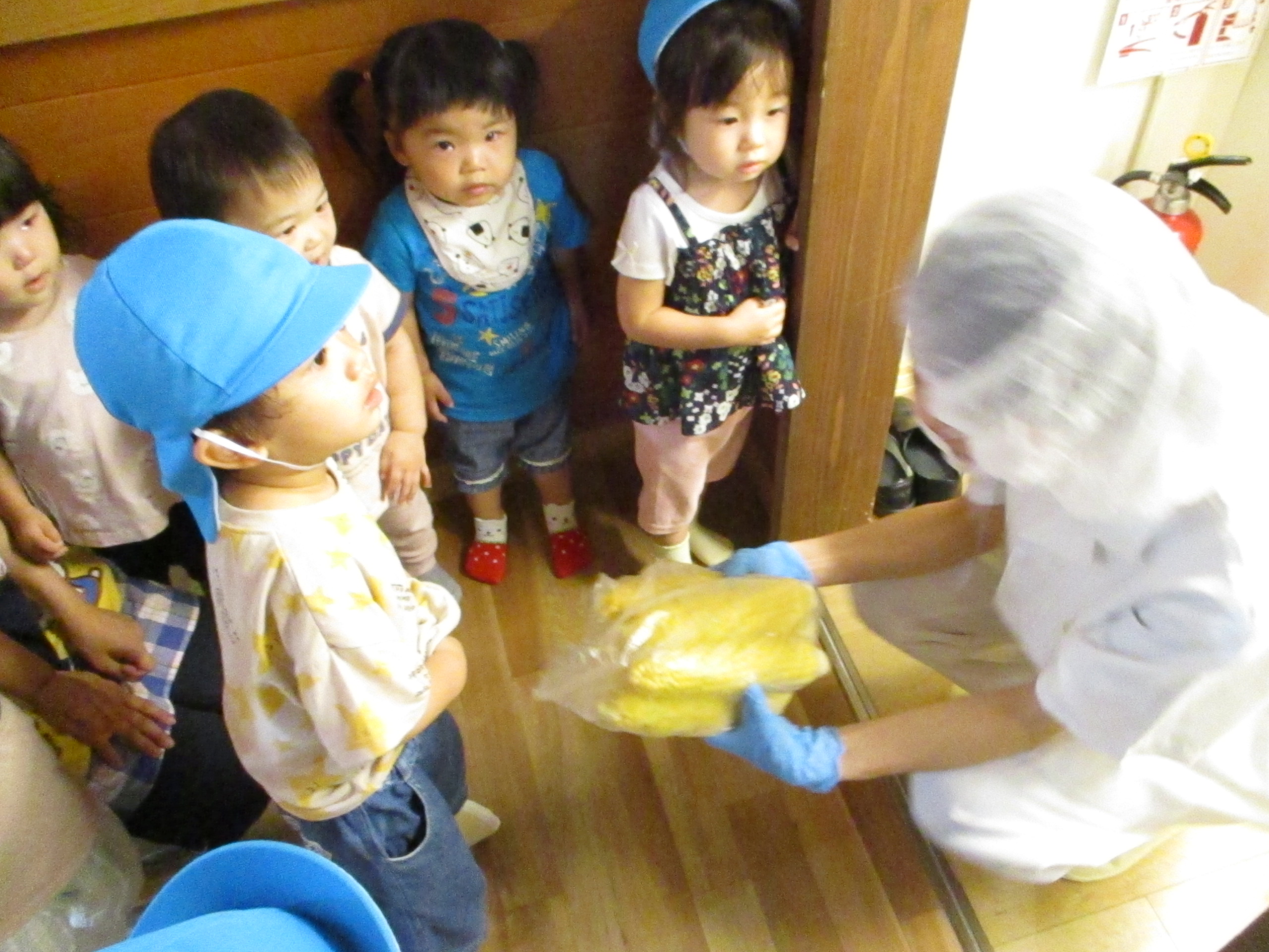 白石園　🌽とうきびの皮むき２🌽