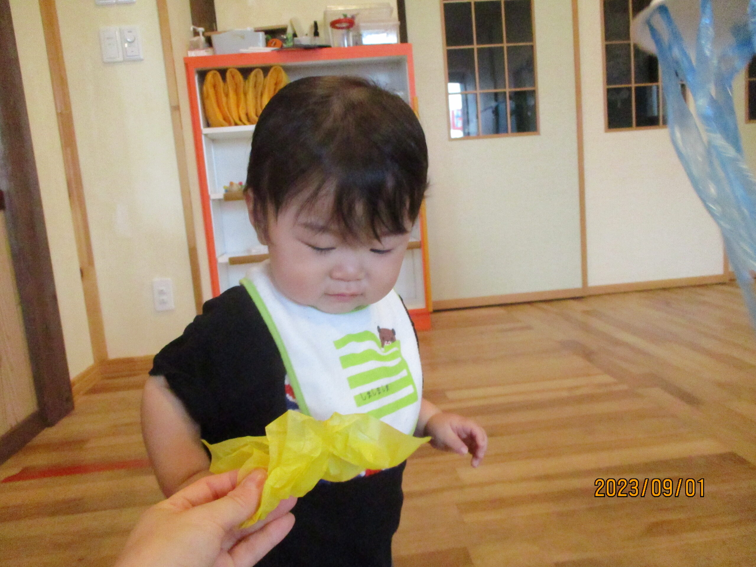 藤野園　どんぐり組　ふわふわクラゲさん、やってきたよ～！