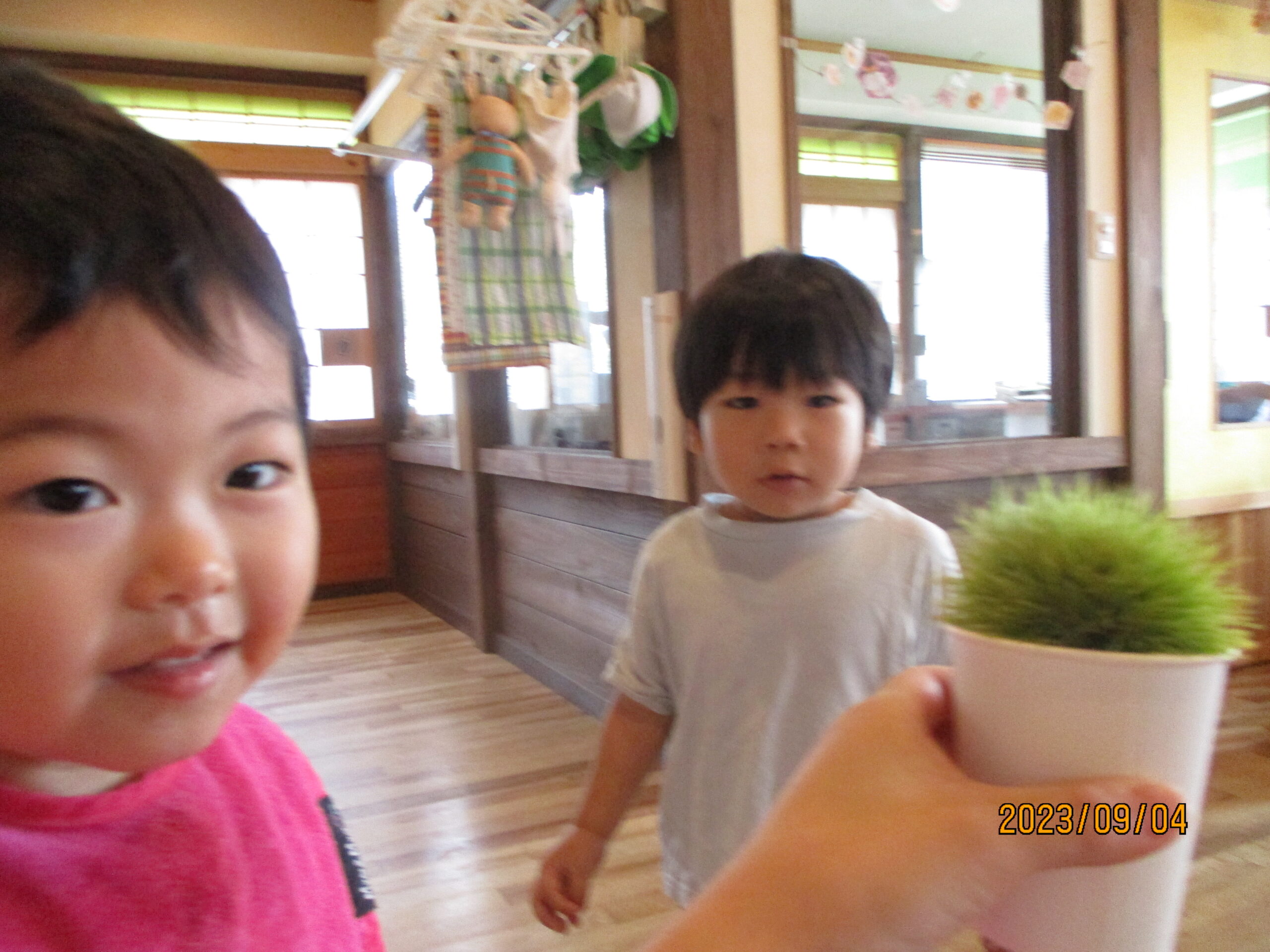 藤野園　栗の季節になりました！