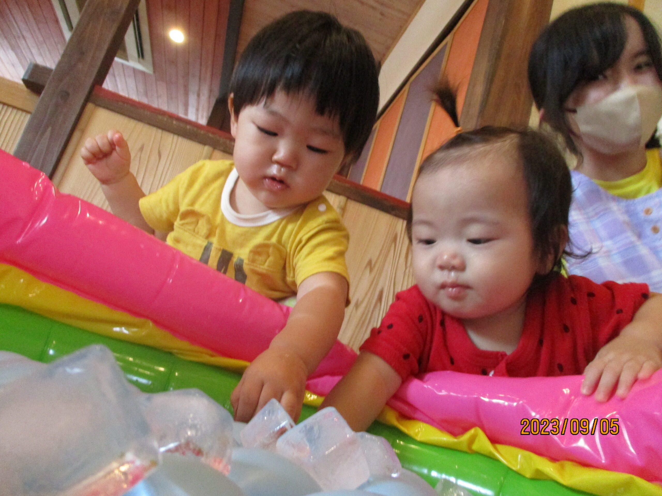 藤野園　どんぐり組 氷に触って気持ちよかったよ♪