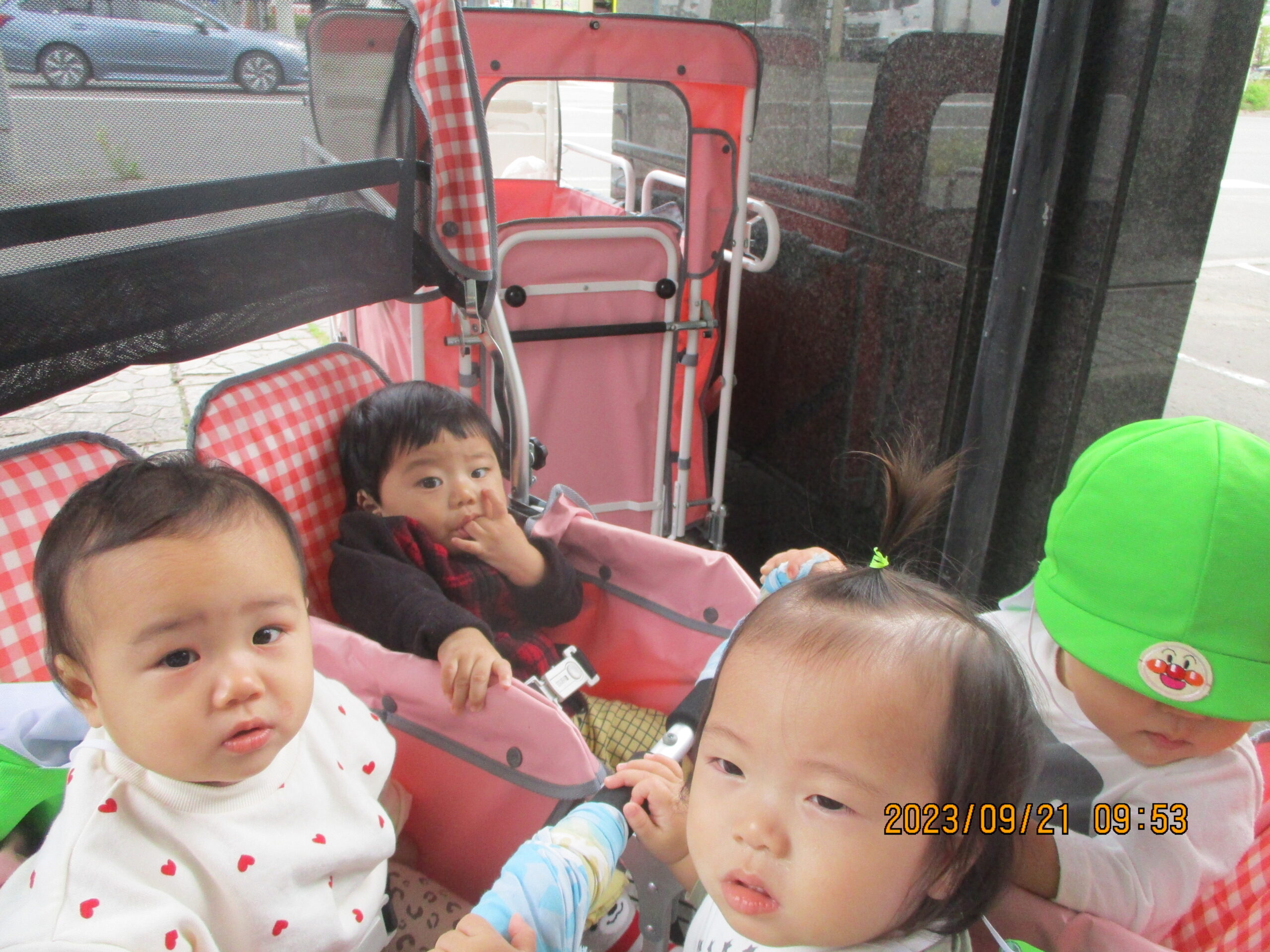 藤野園　どんぐり組　カエルさん、元気でね！