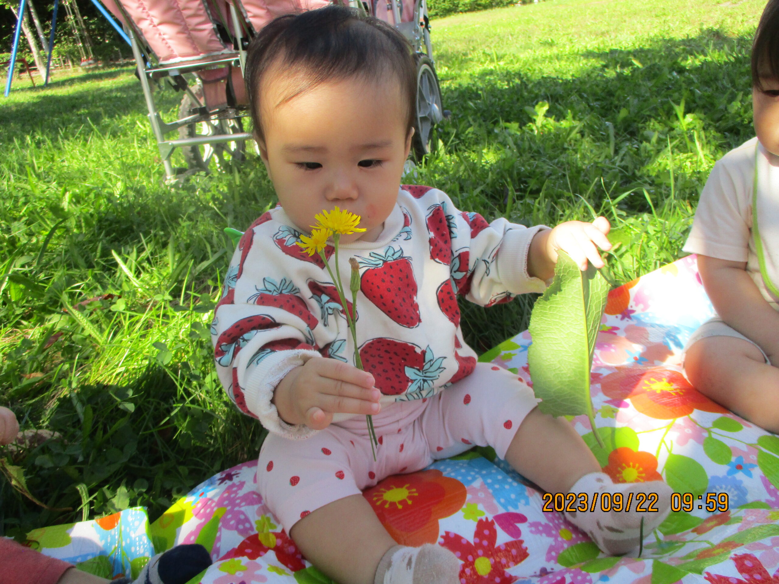 藤野園　どんぐり組　お外の風が気持ちよかったよ♪