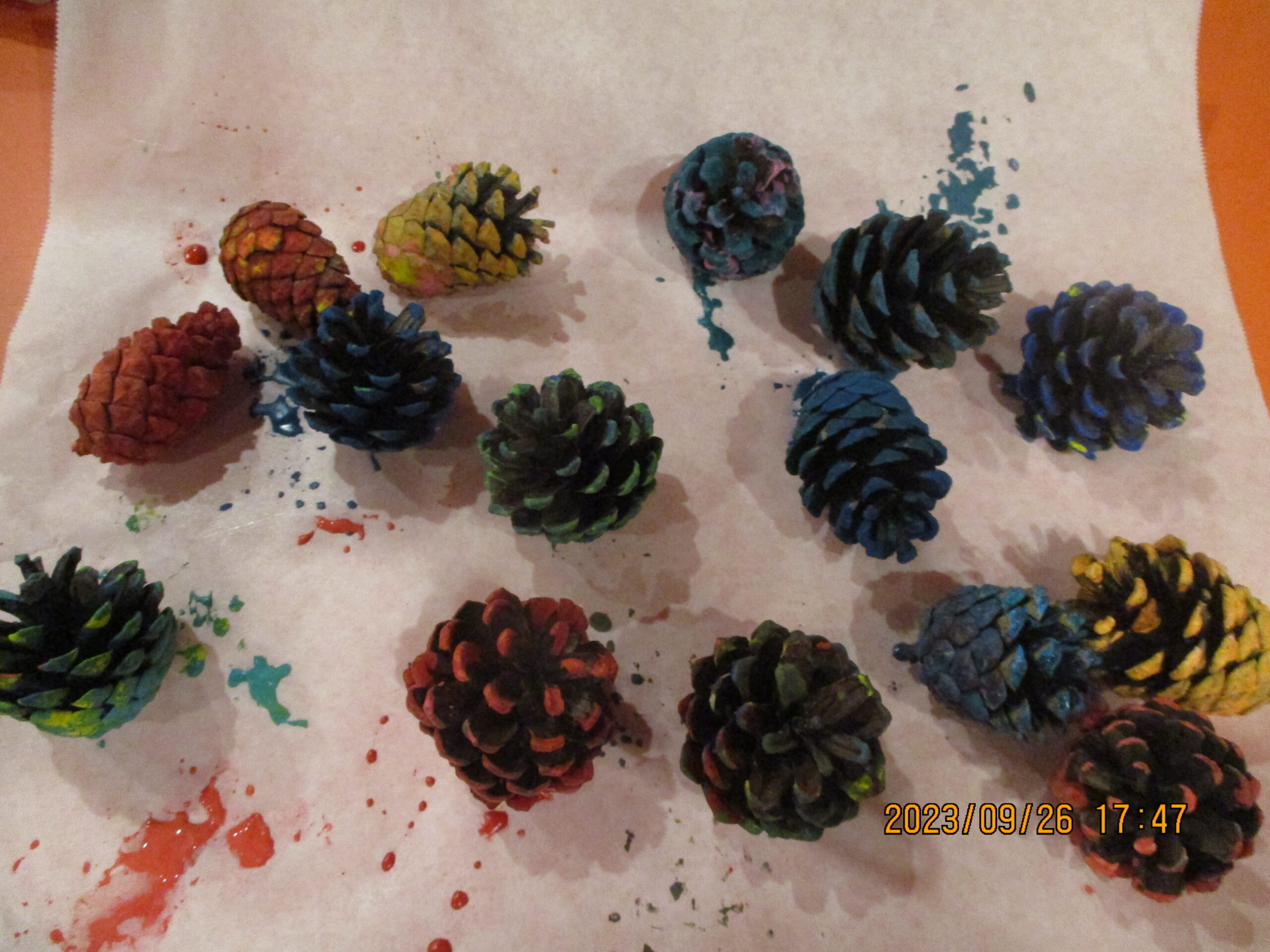 藤野園　松ぼっくり飾り