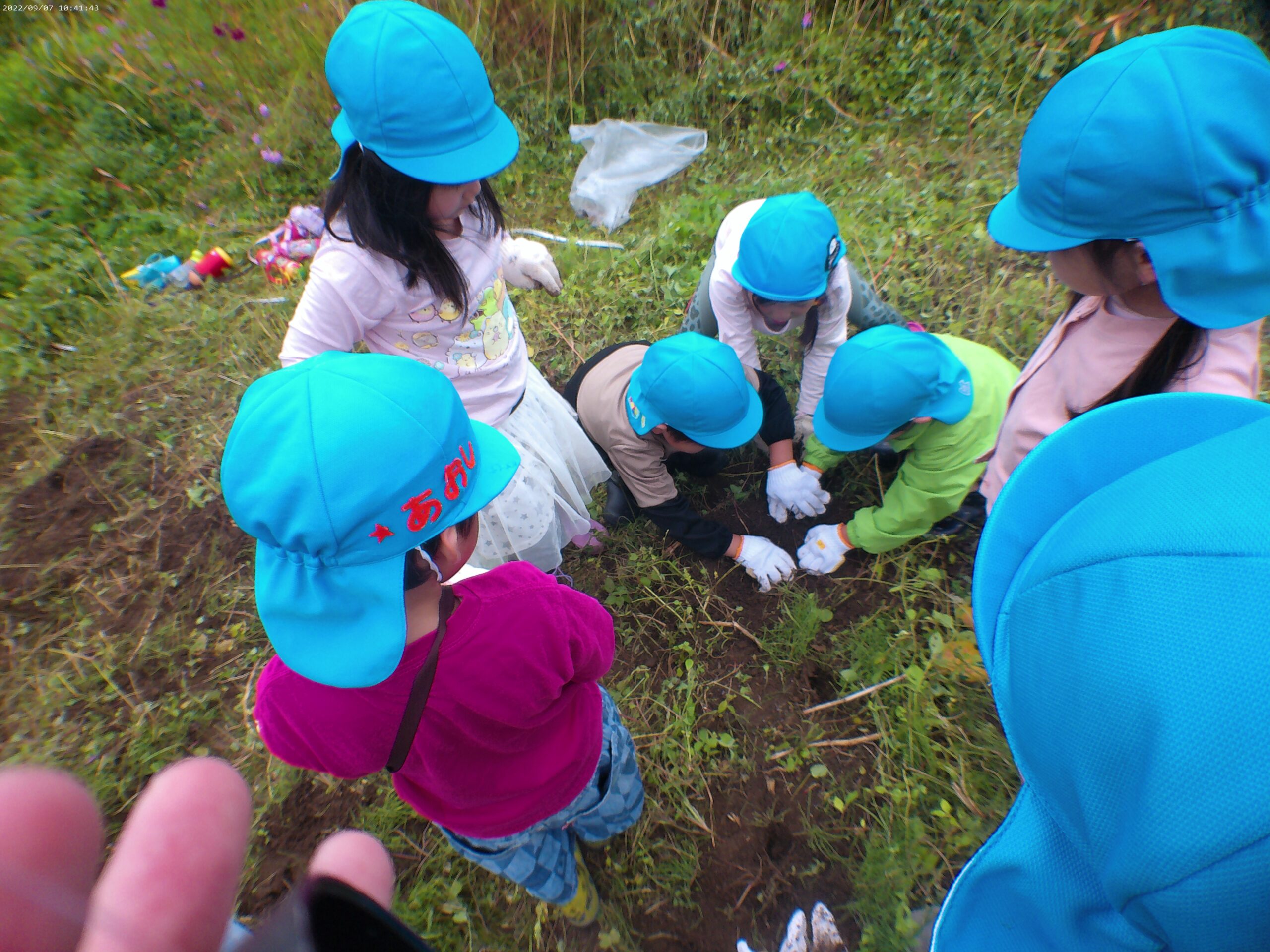 宮の森・南の沢　🥔いもほり🥔
