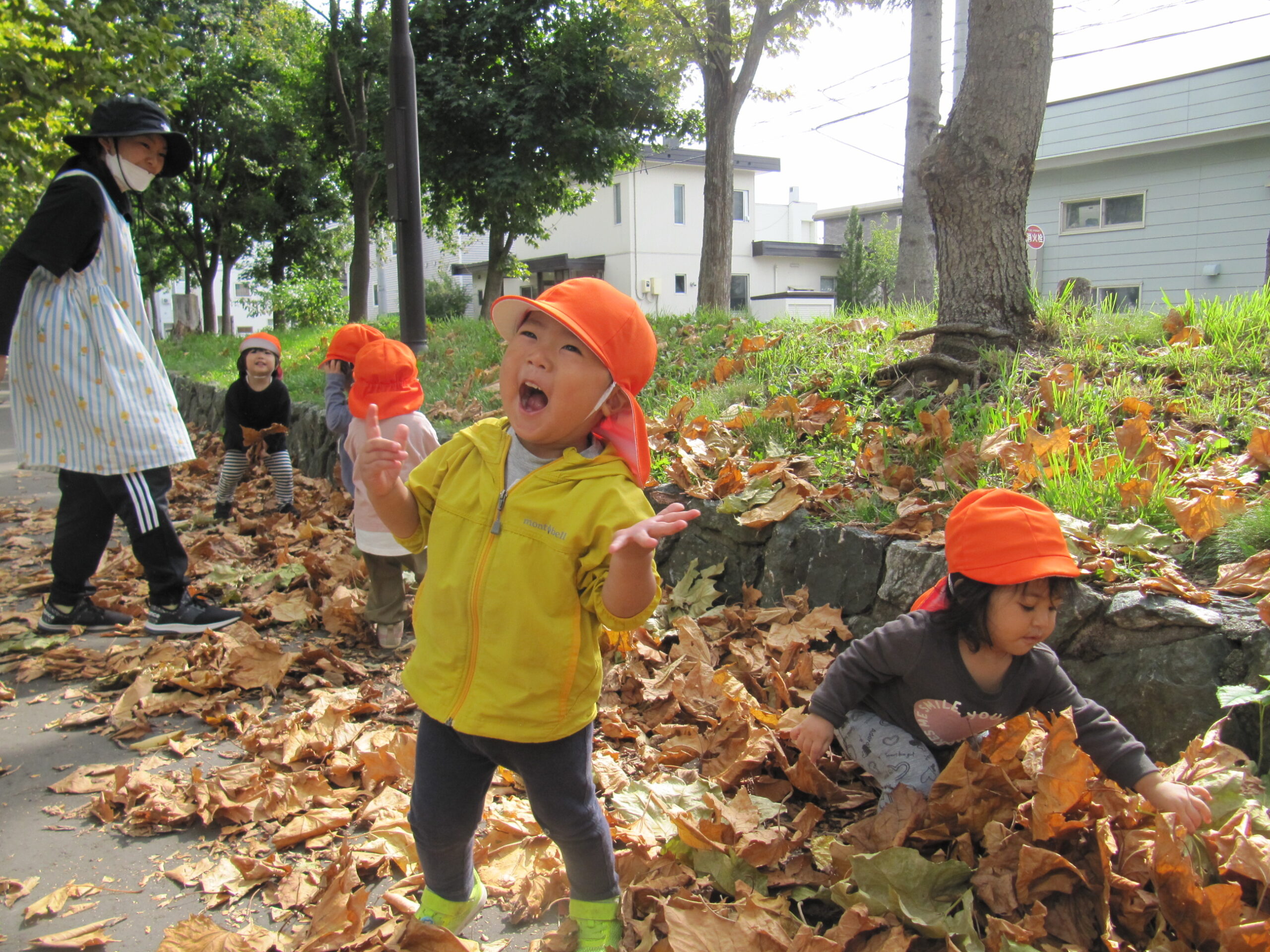 屯田園　１歳児クラス😊葉っぱ遊び楽しいね