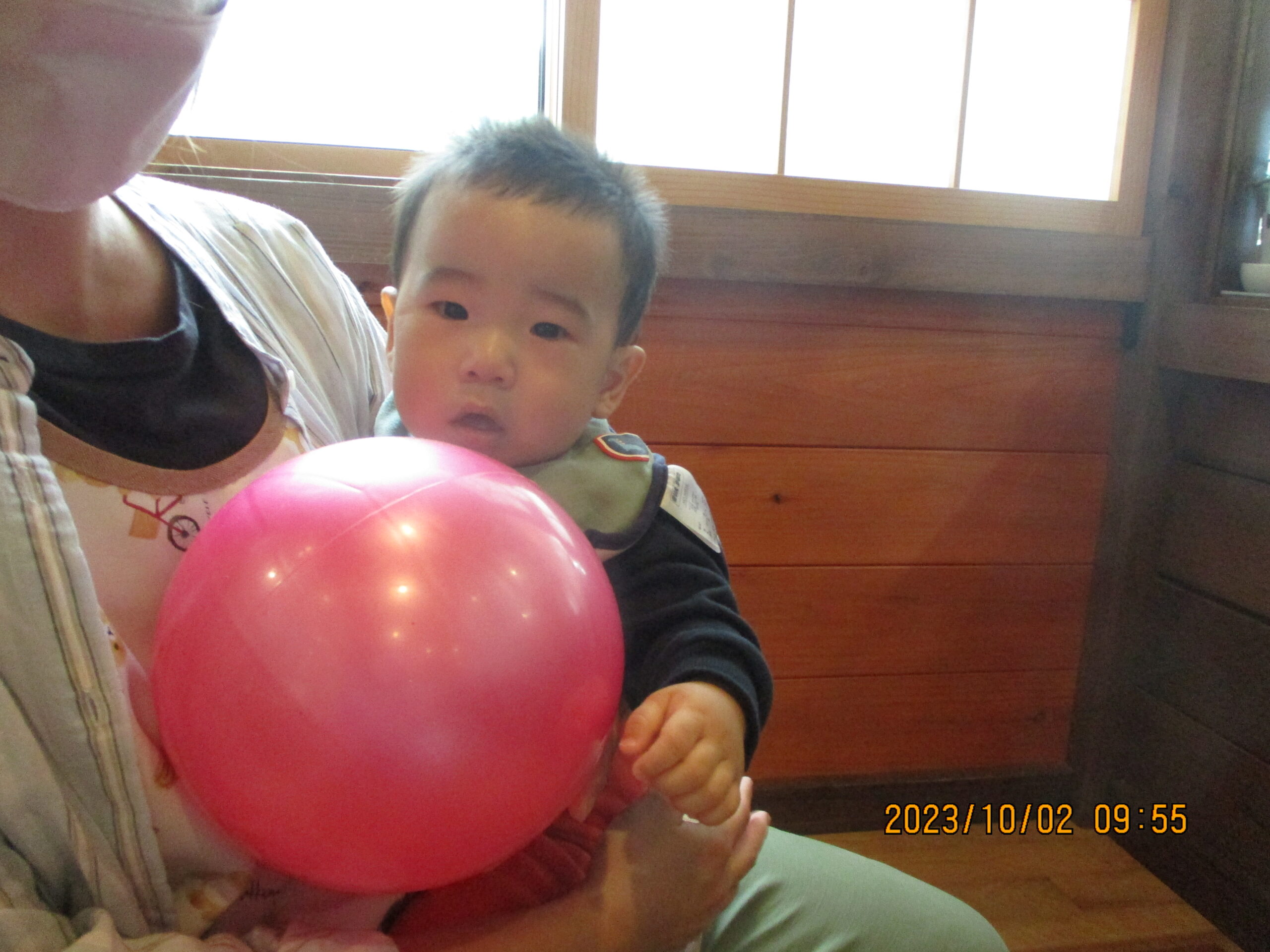 藤野園　どんぐり組　新しいお友達が来たよ♪