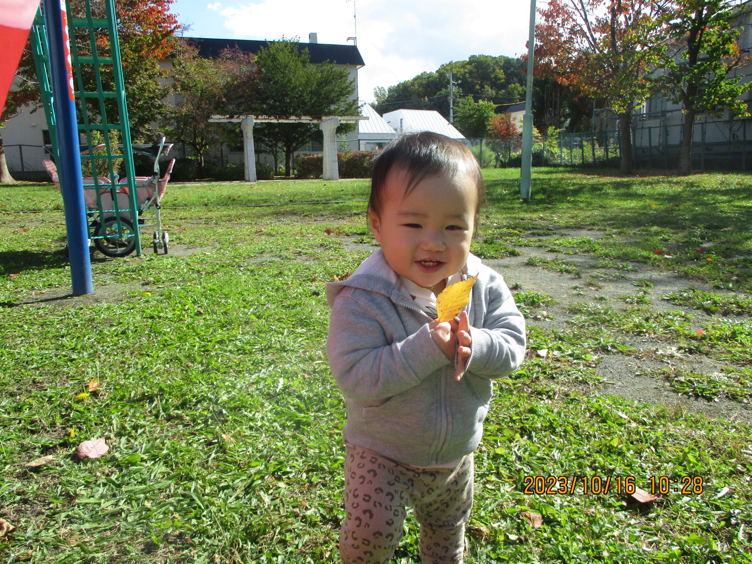 藤野園　どんぐり組　たくさん遊んだよ♪