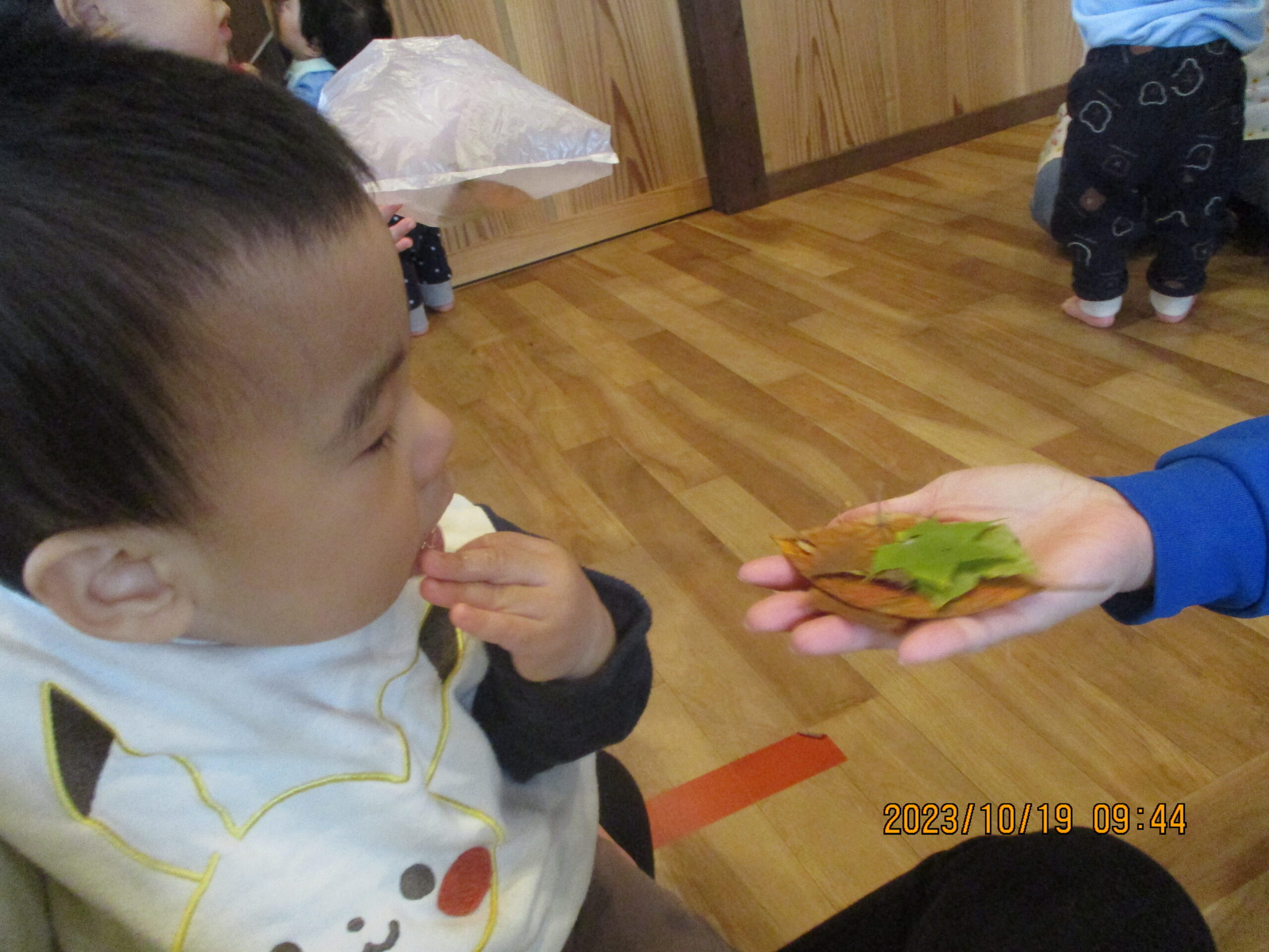 藤野園　どんぐり組　様々な色の葉っぱを触ったよ！