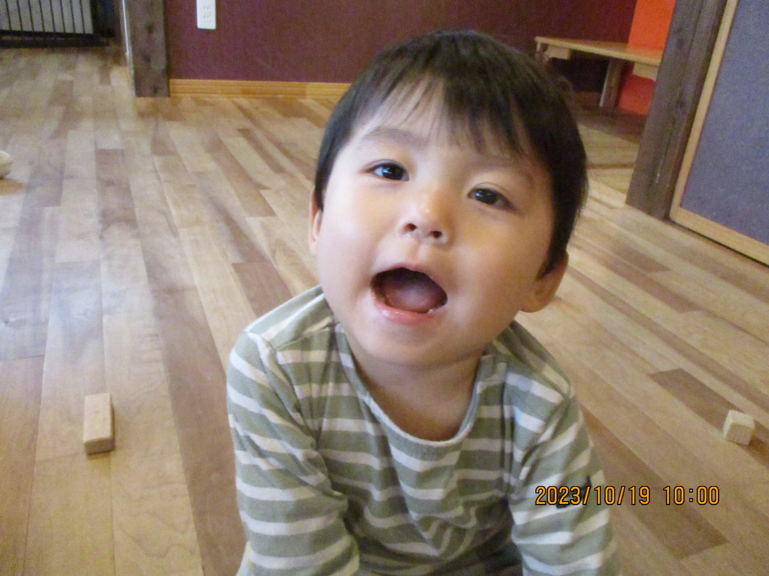 藤野園　くり組＆くるみ組　いっぱい遊んだね♪