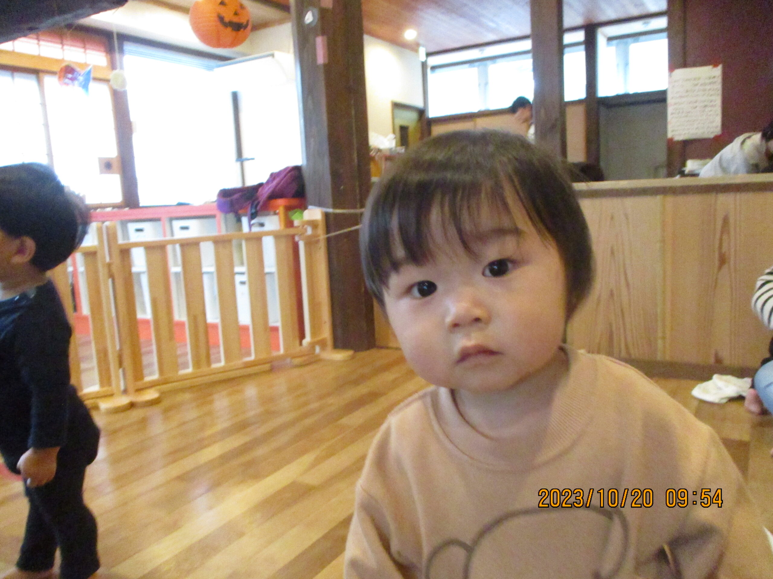 藤野園　どんぐり組　木の感触、気持ちいい♪