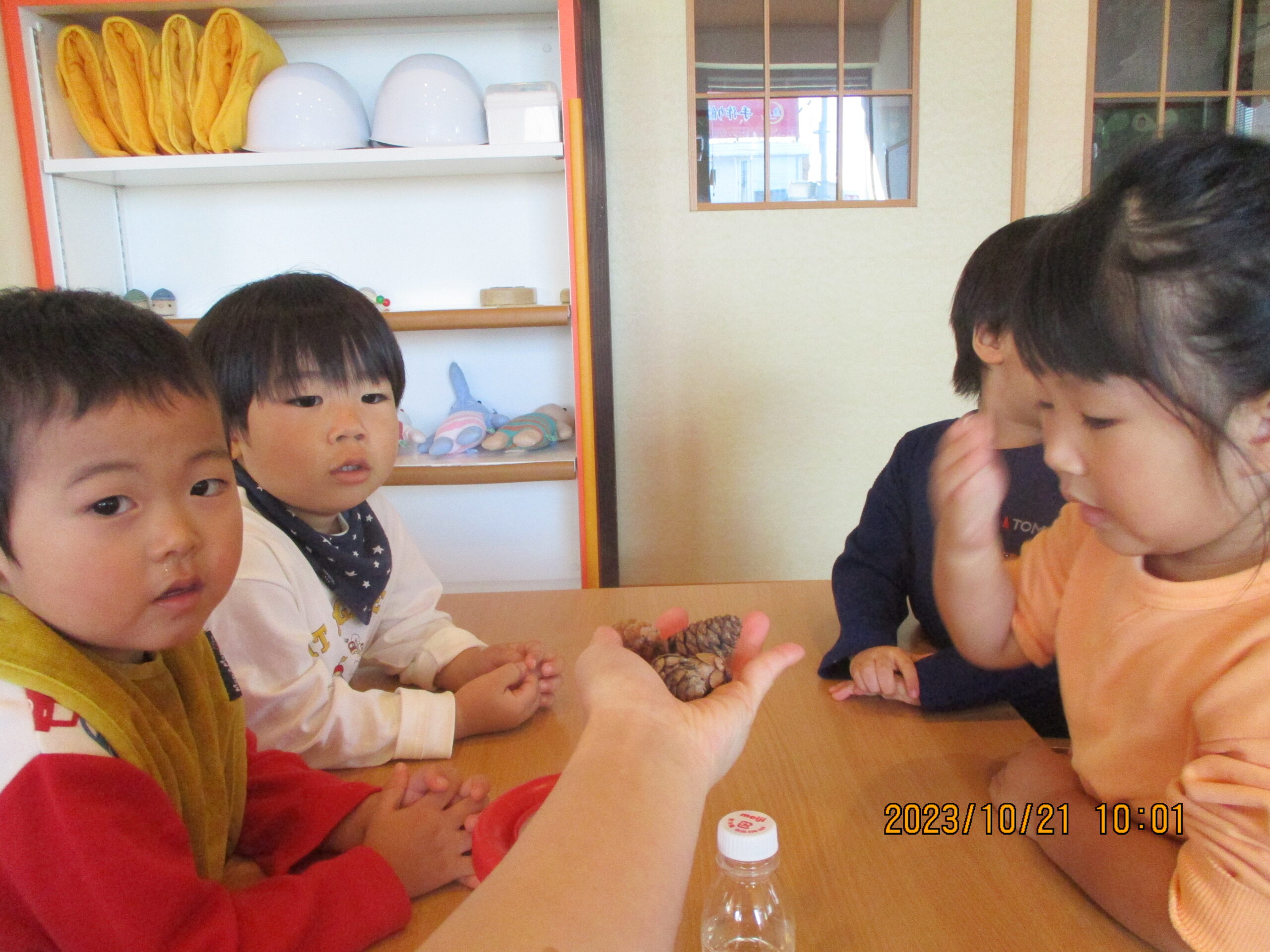 藤野園　松ぼっくり実験♪