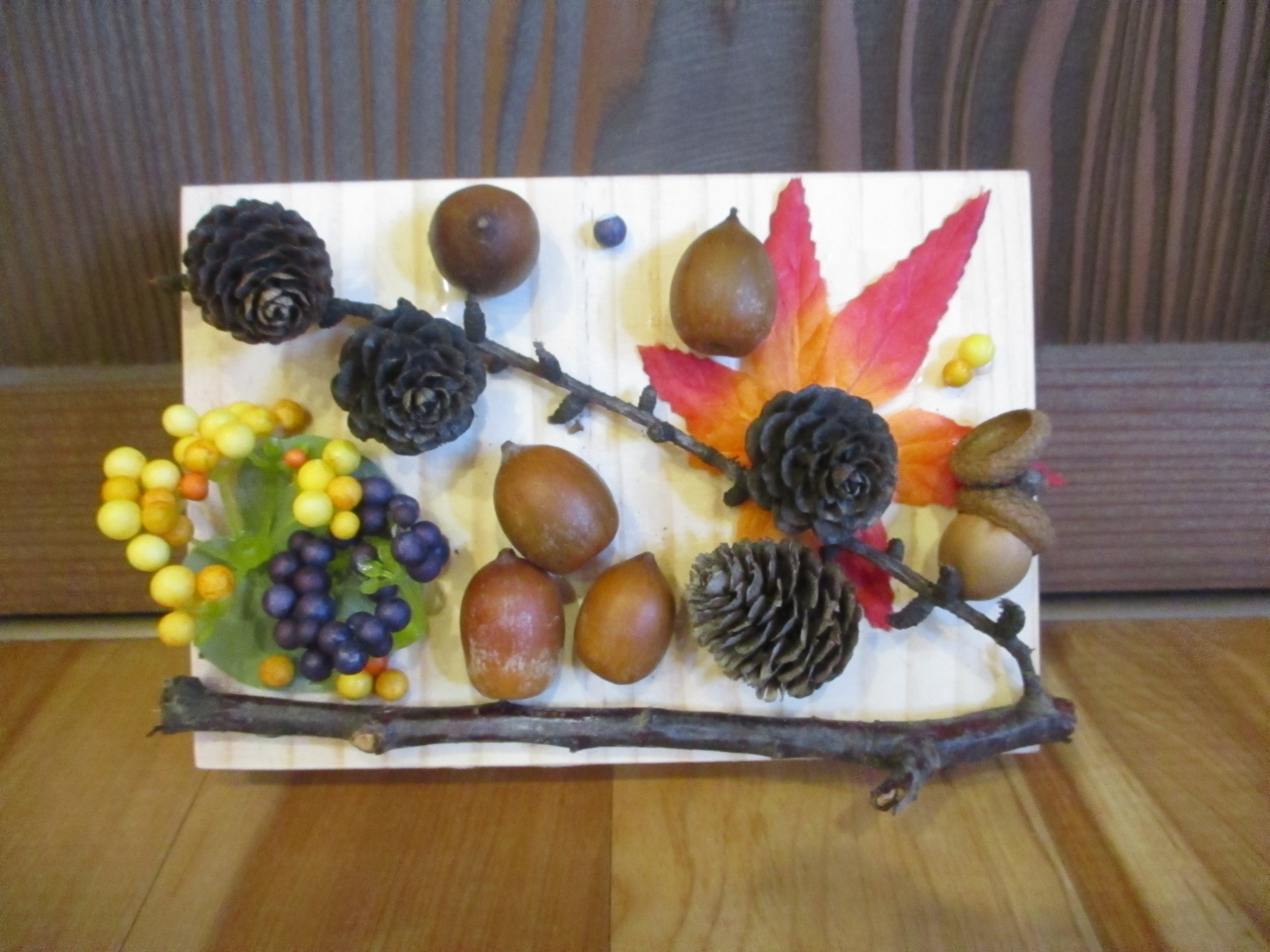 白石園　🌳木育教室🌳