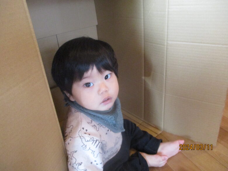 藤野園　どんぐり組　色んなポーズで撮れました✨