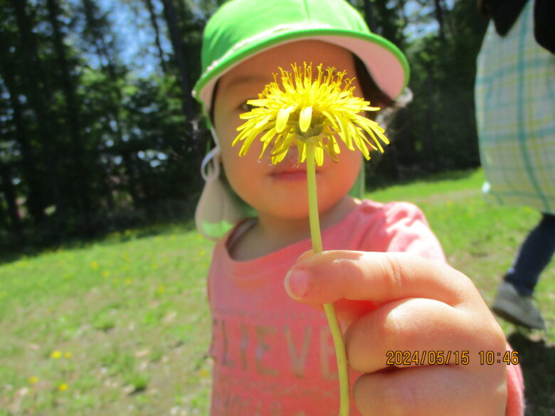 藤野園　たんぽぽ可愛いね♡
