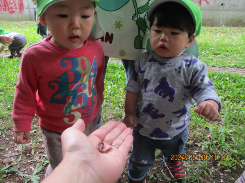 藤野園　くり＆くるみ　お花をつ～みにいきましょう🎵