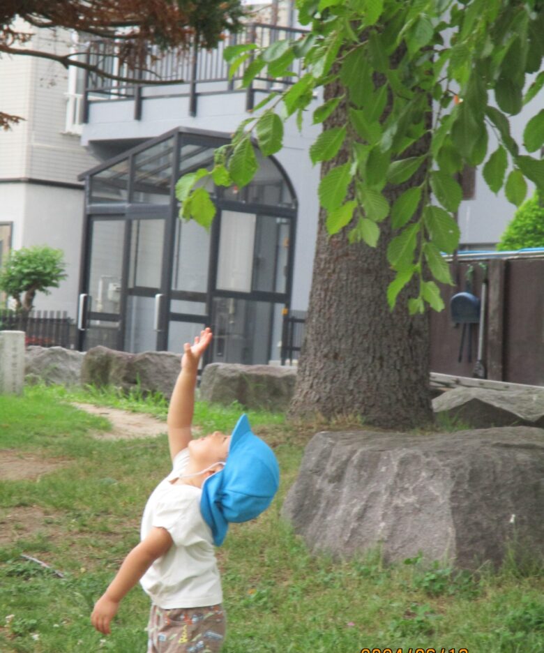 白石園　やなぎ公園に行ったよ