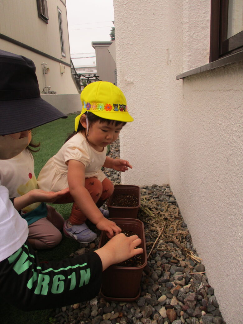 新川園　2歳児 木育活動