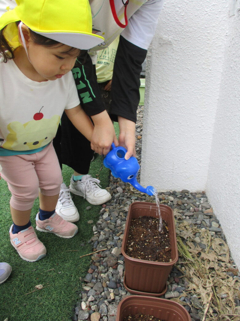 新川園　木育活動　種植え