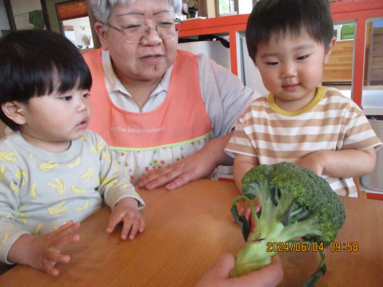藤野園　ブロッコリー植えたよ♪