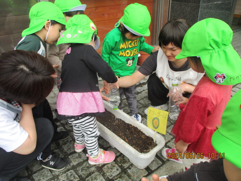 藤野園　マリーゴールド種植え♪