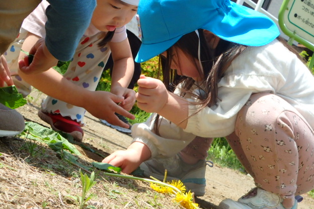 宮の森　初夏☘️