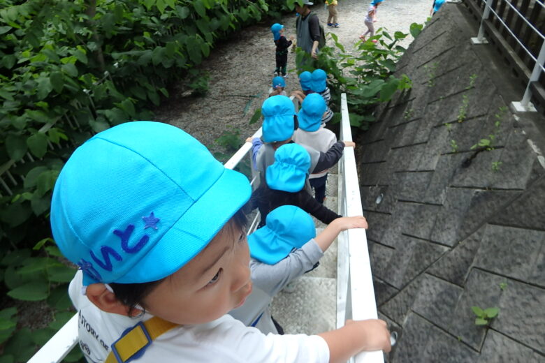 宮の森　裏庭の秘密基地