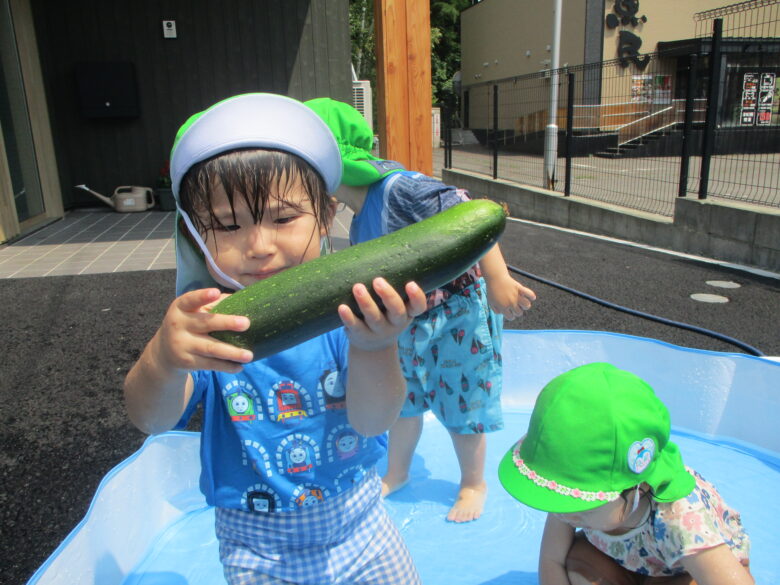 藤野園　　ズッキーニ収穫♪