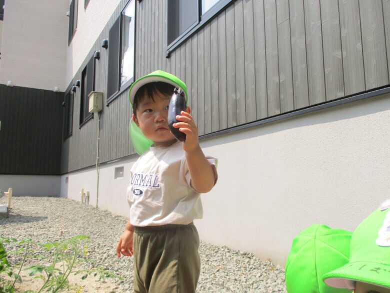 藤野園　ナス美味しいね♪