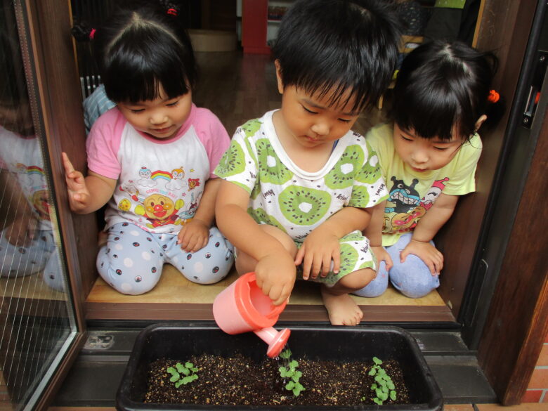 白石園　くるみ組🌱