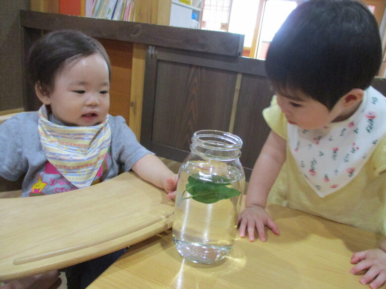 白石園　はじめまして！